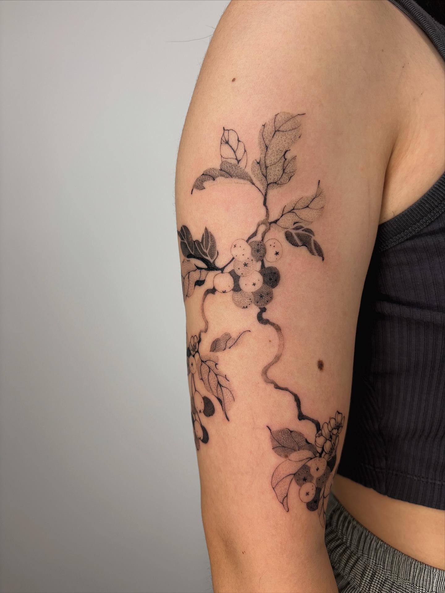 Branch with berries dotwork tattoo on the forearm by sago, Berkeley, California