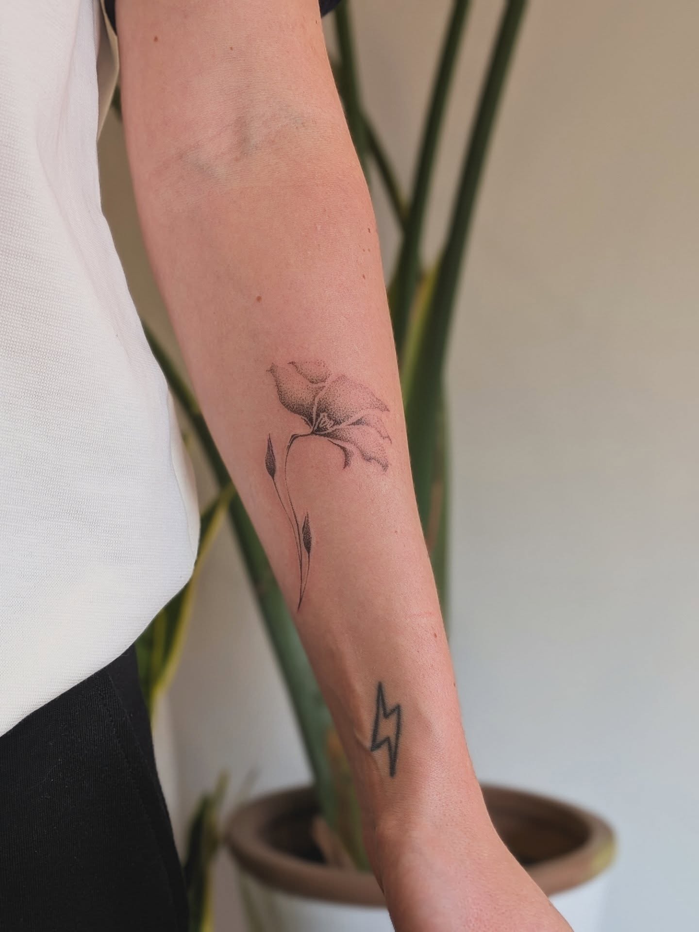 Tattoo by @le.petitmonstre — dotwork