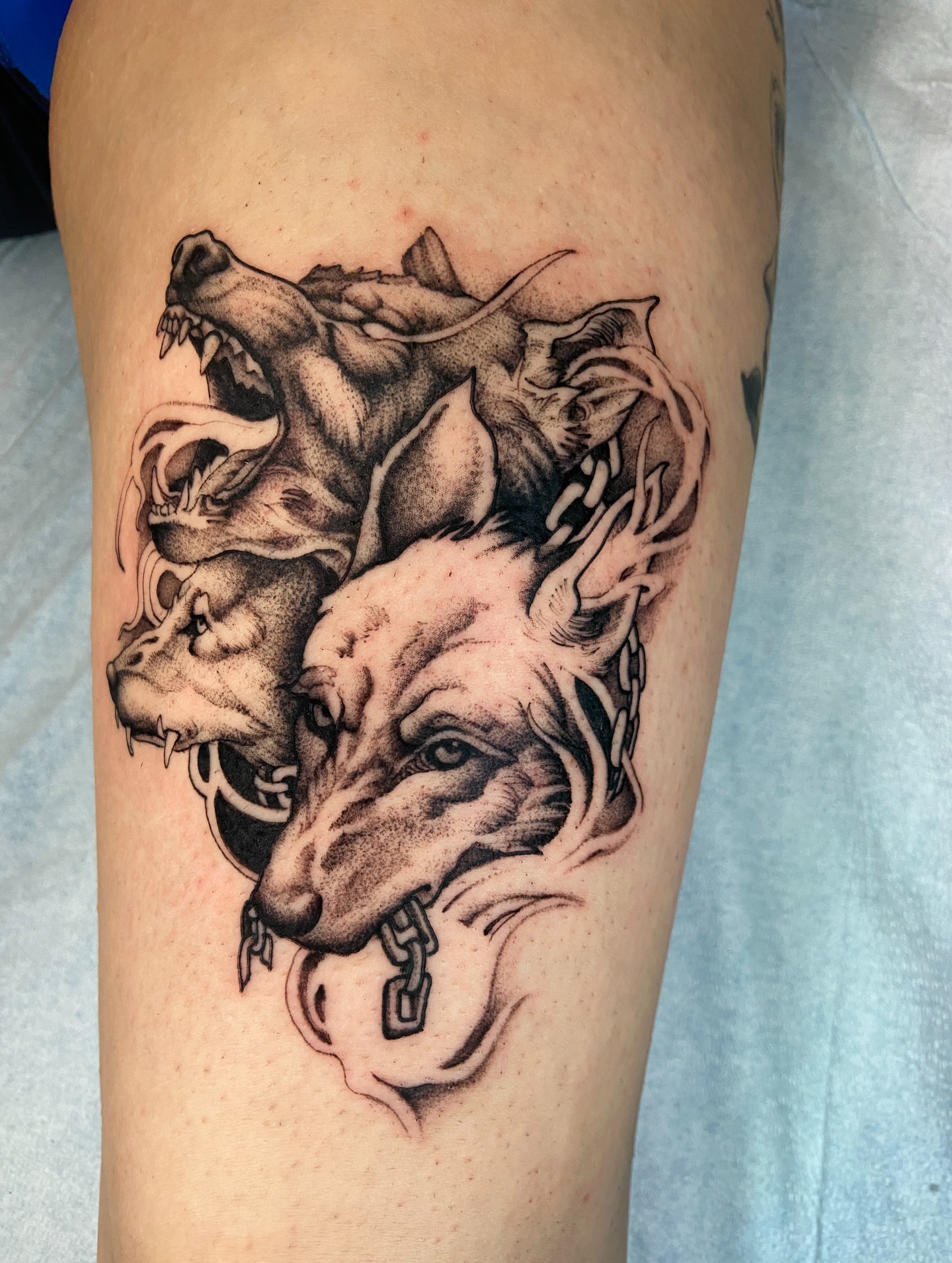Tattoo by @quinndoskis — black_and_grey, realism