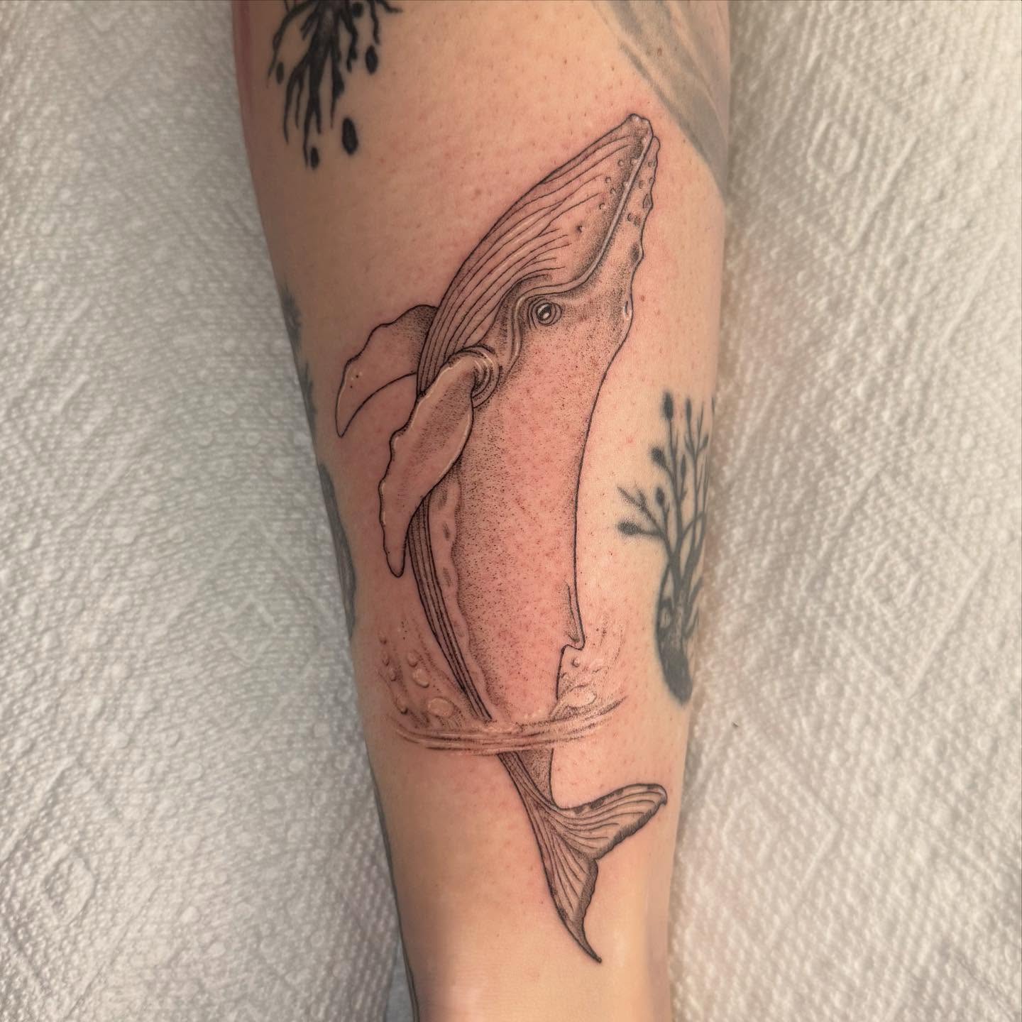 Whale black and grey tattoo on the forearm by Leslea Hipp