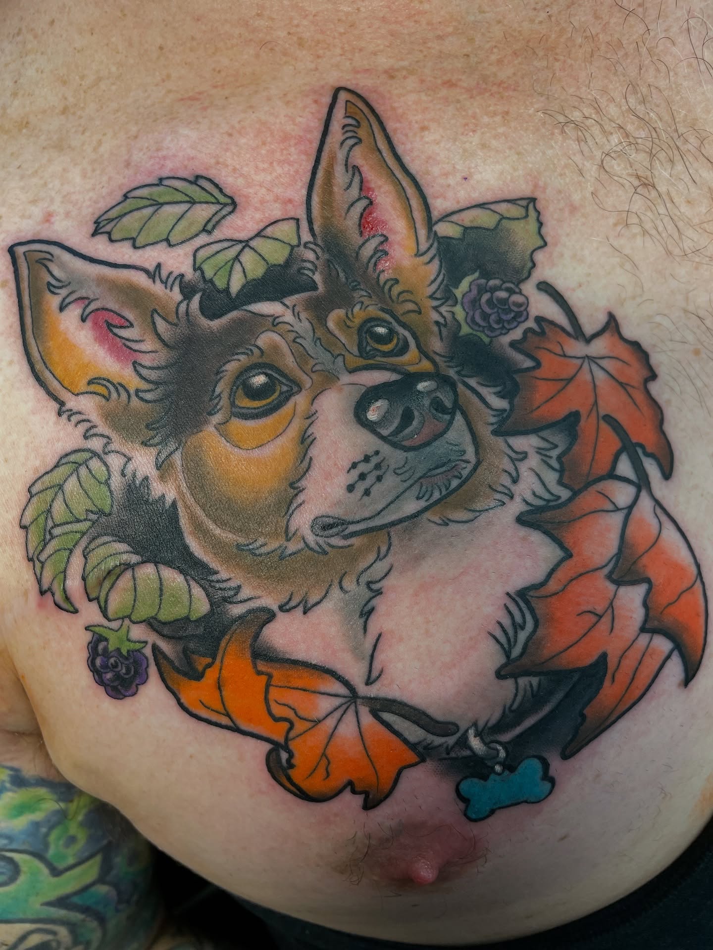 Tattoo by @steven_makes_art — american_traditional