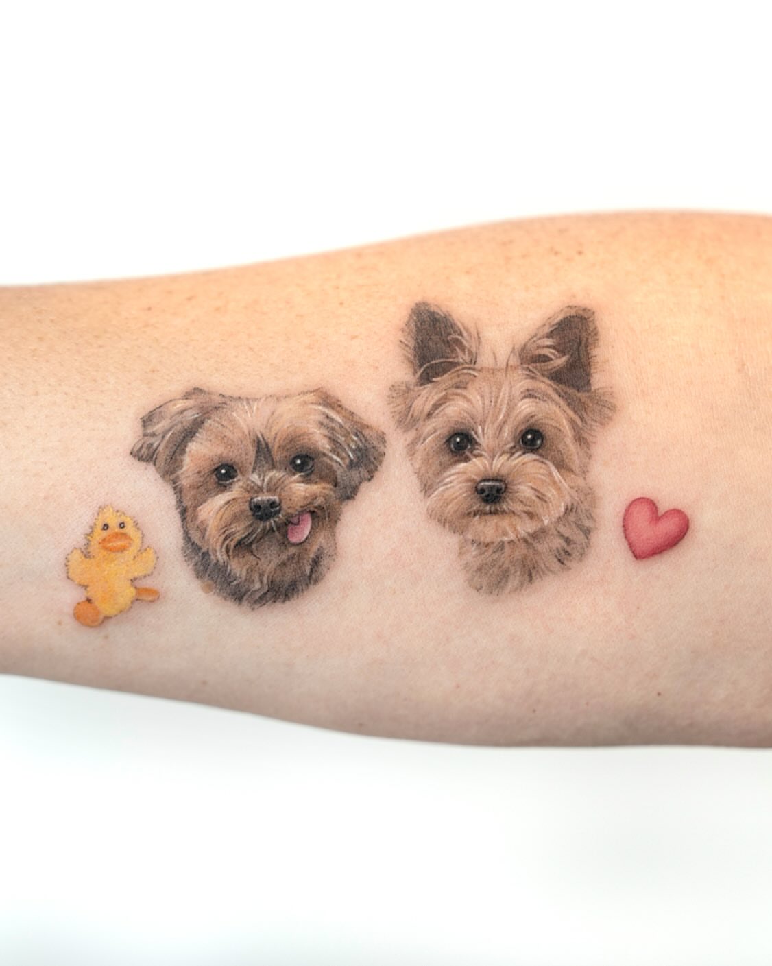 Dogs realism tattoo on the forearm by Zeeyo 지요
