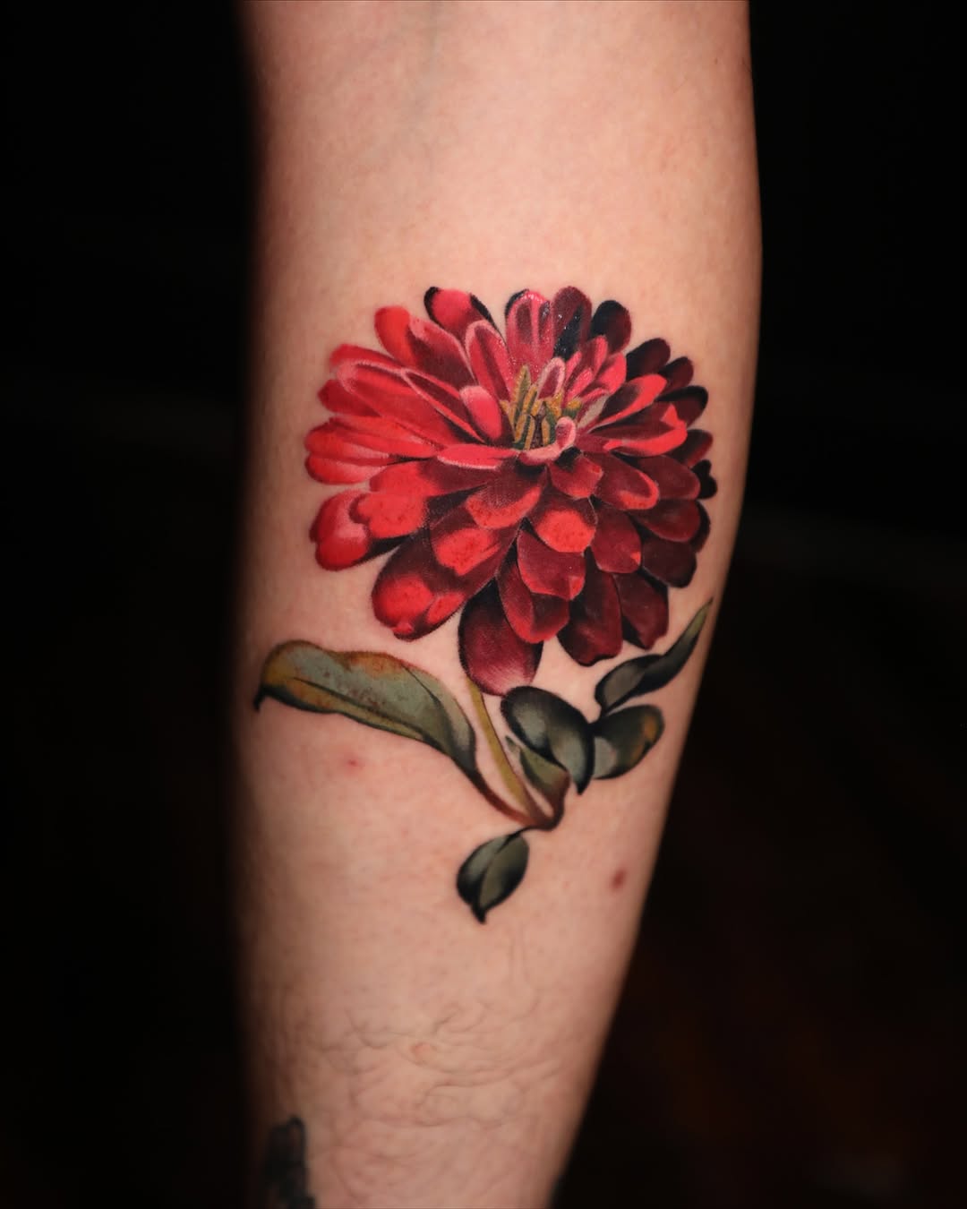Tattoo by @romaytheart — realism, color