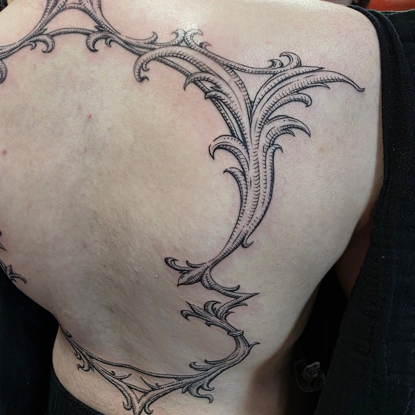 Tattoo by @asparagusnightmare — ornamental