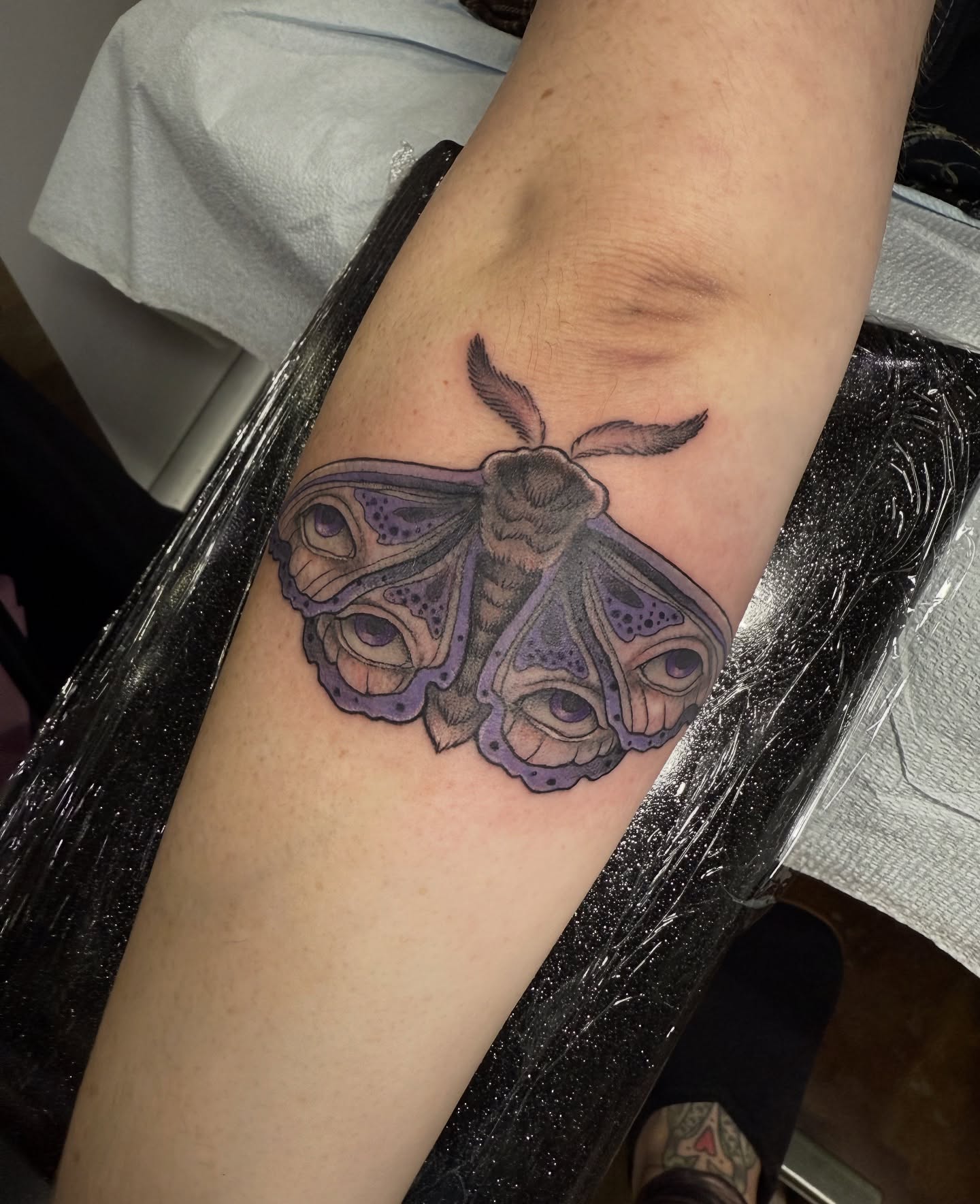 Moth realism tattoo on the forearm by Em ✨PA Tattooer