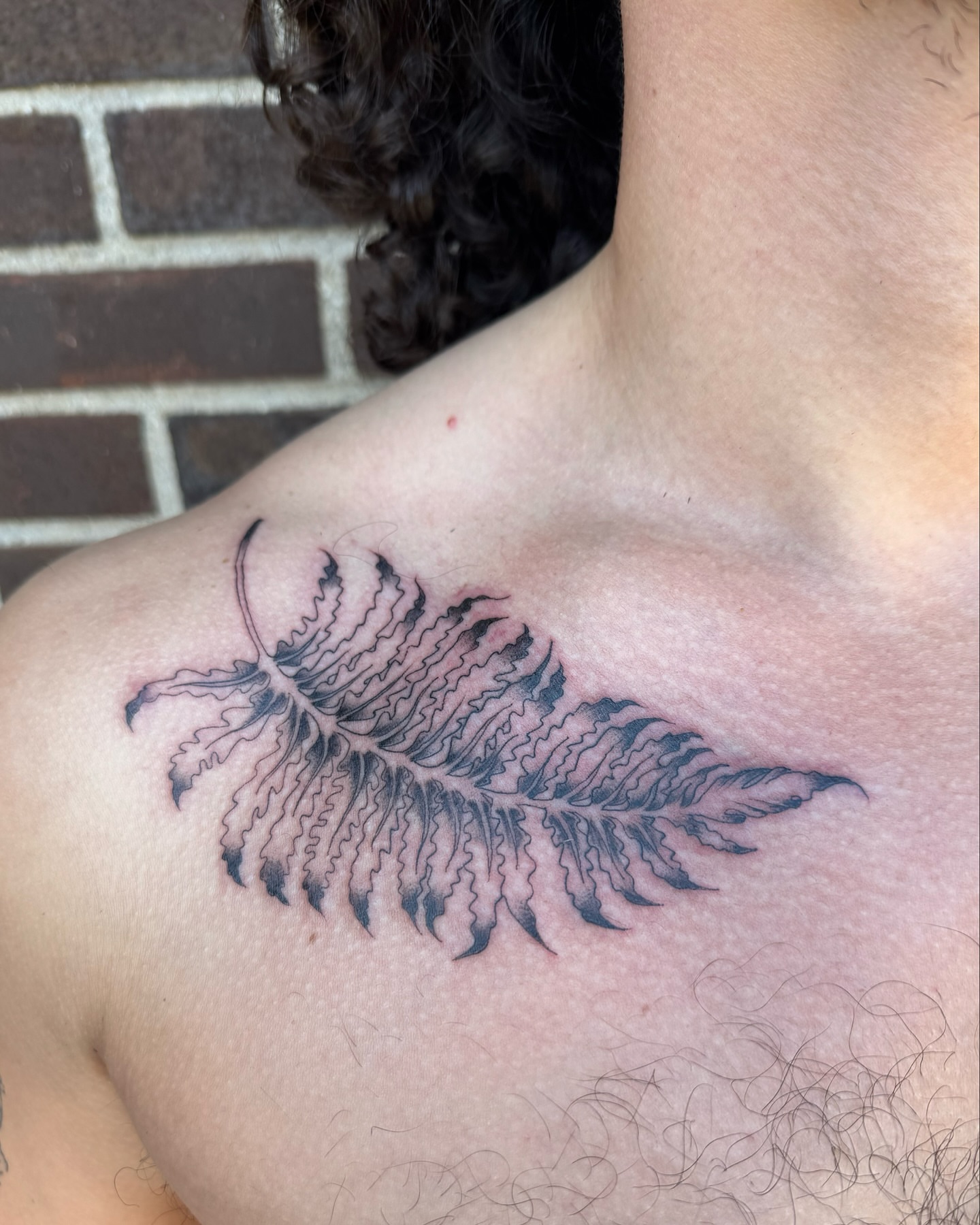 Fern leaf black and grey tattoo on the chest by Milo