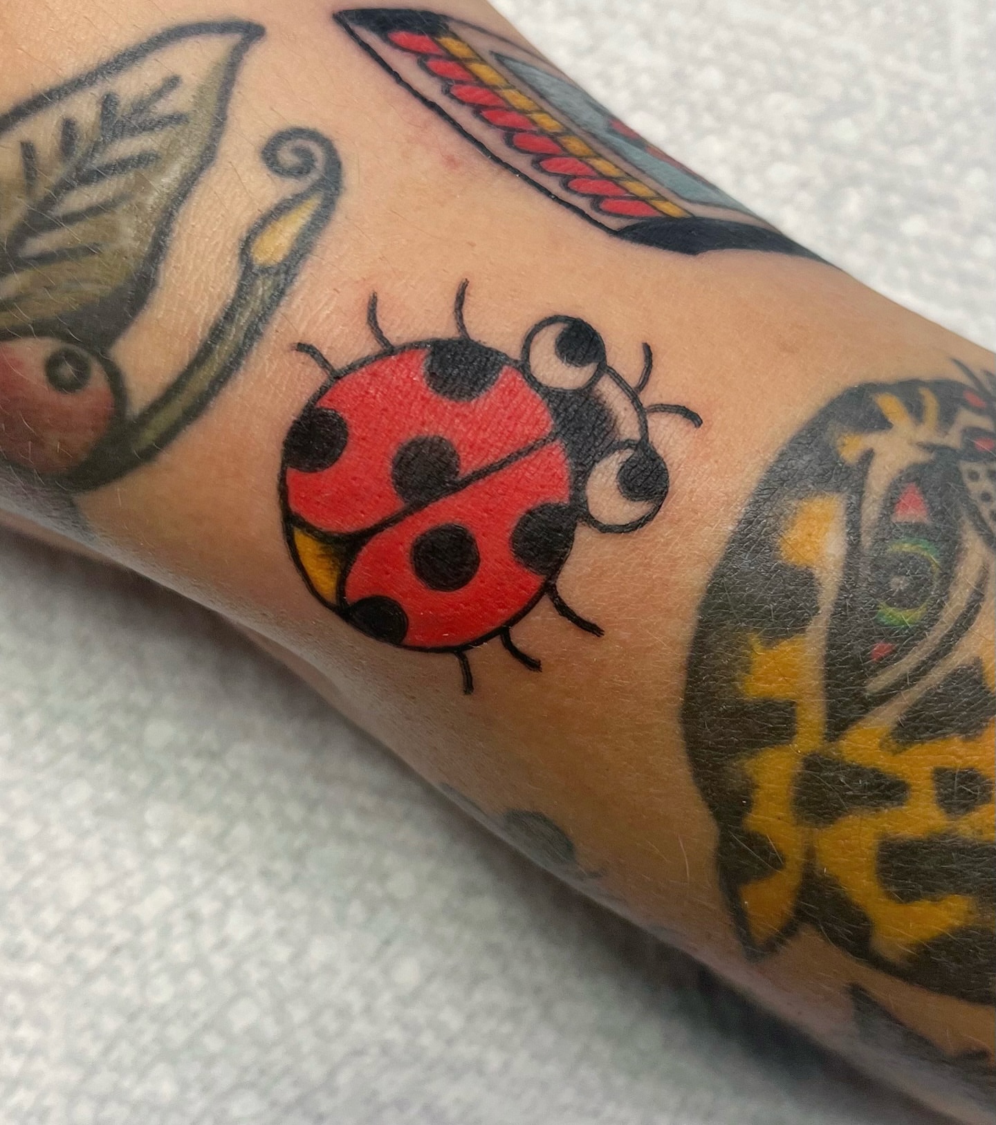 Ladybug American traditional tattoo on the forearm by Elizabeth Summers ❨・¨⬮ Traditional Tattoo