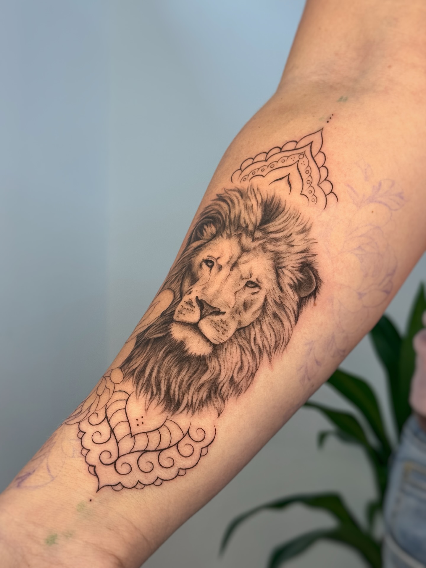 Lion realism tattoo on the forearm by Gianna Rodriguez