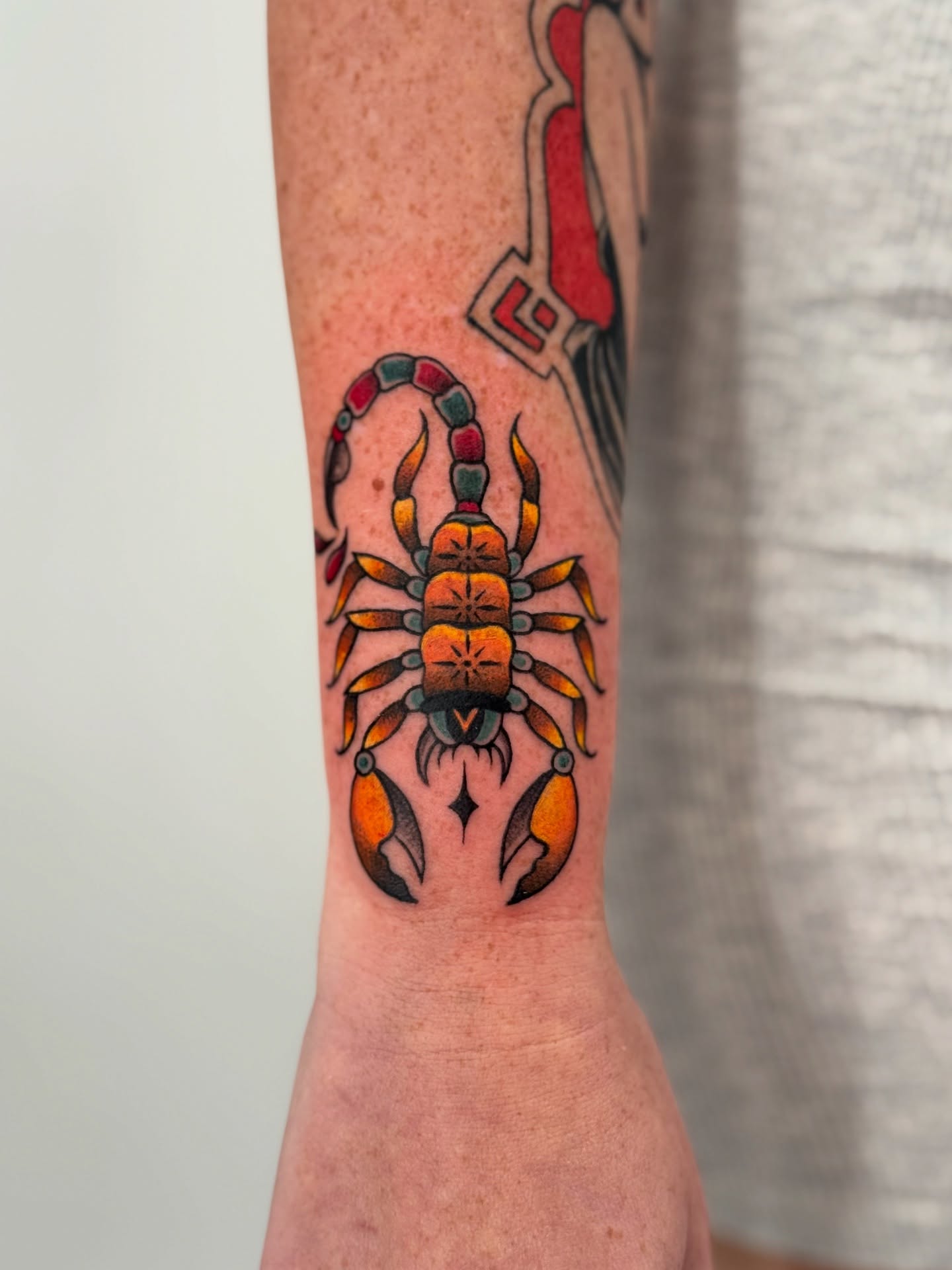 Scorpion American traditional tattoo on the forearm by Hailey K - Arizona Tattoo Artist, Miami, Florida