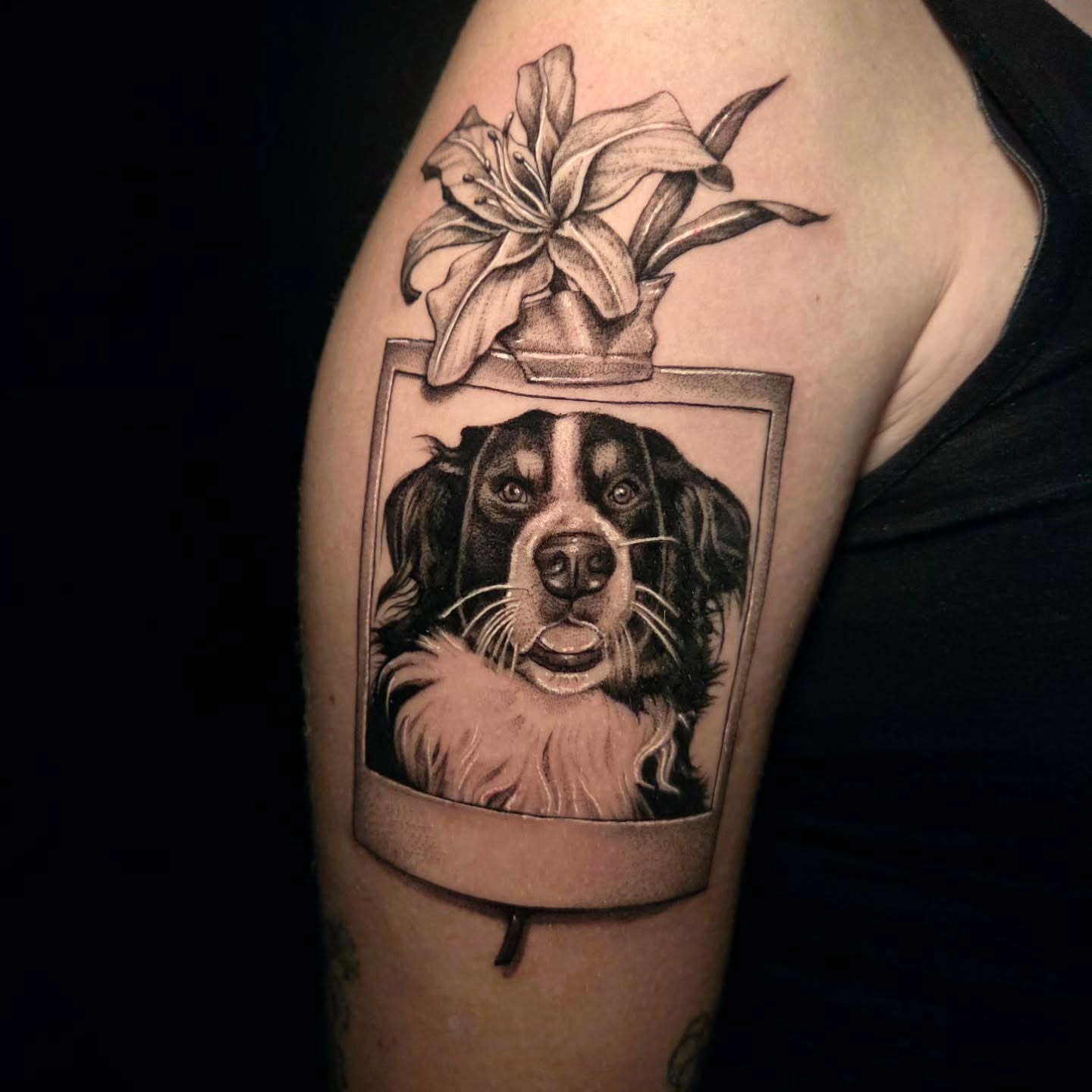 Dog portrait realism tattoo on the upper arm by Sydney Paige, Mentor, Ohio