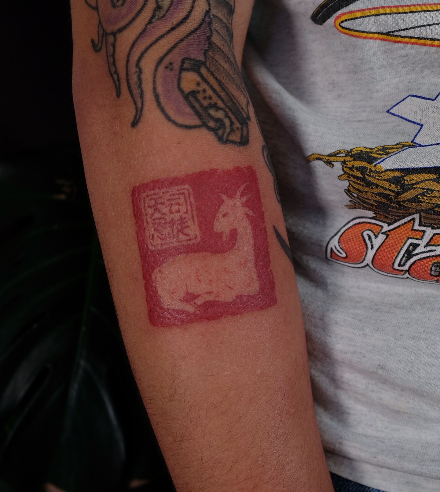 Goat seal dotwork tattoo on the forearm by lela