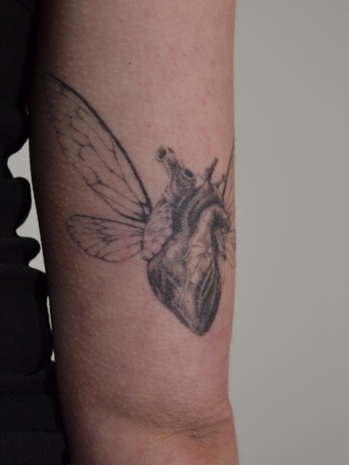 Tattoo by @vulgarviolets — black_and_grey, realism