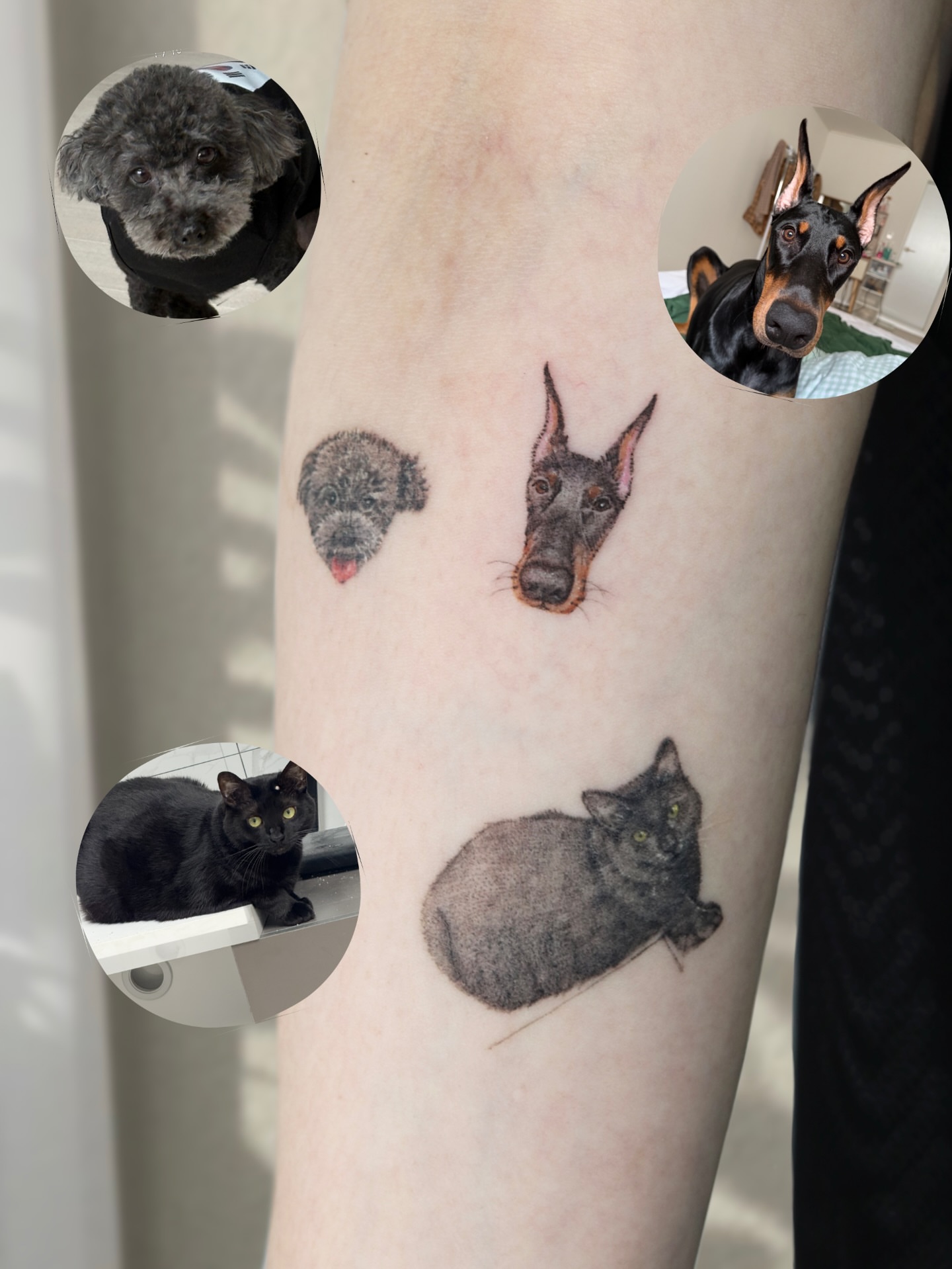 Tattoo by @honi_tattoo — realism