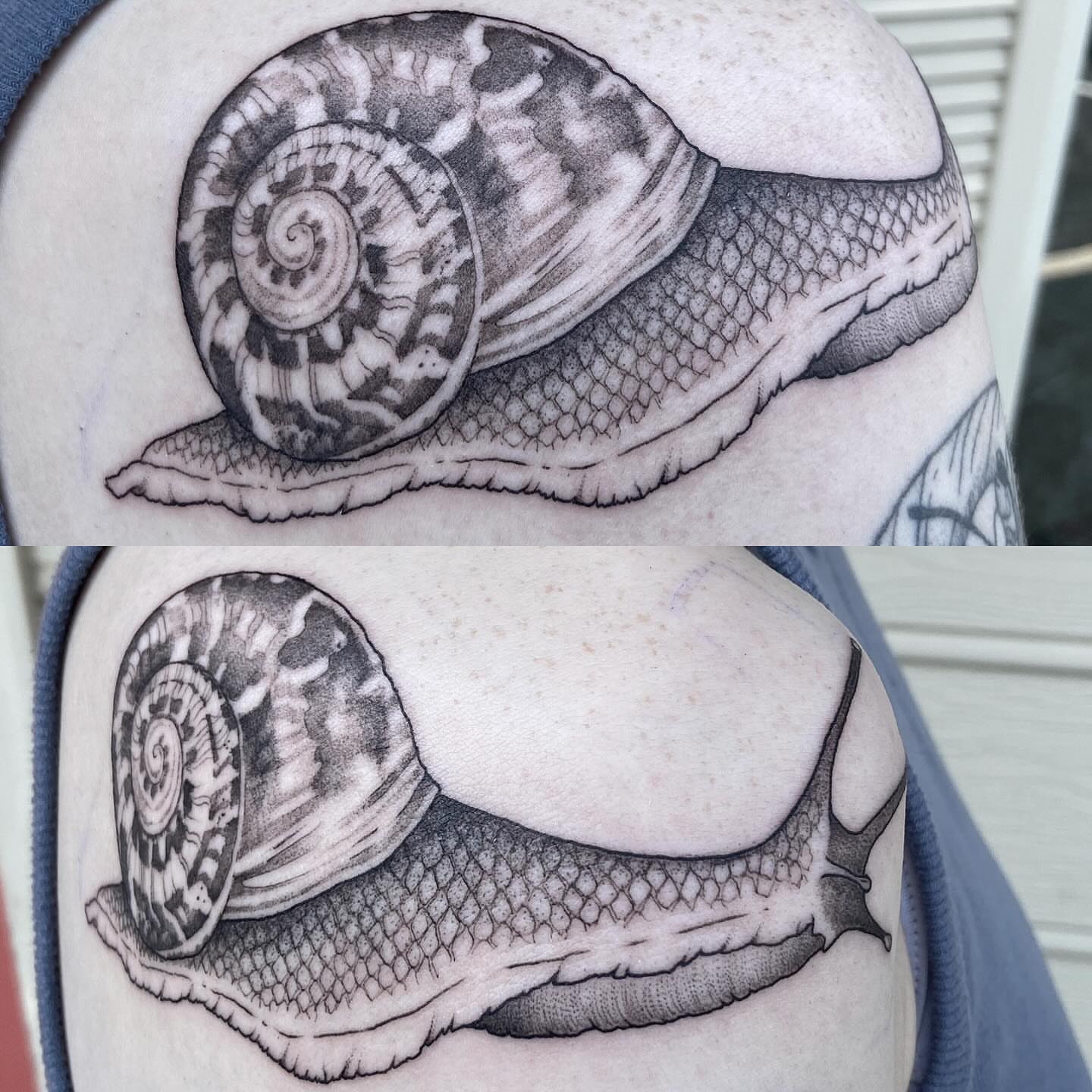 Snail realism tattoo on the upper arm by Libbey June @ Snailberry Studios- NW OHIO