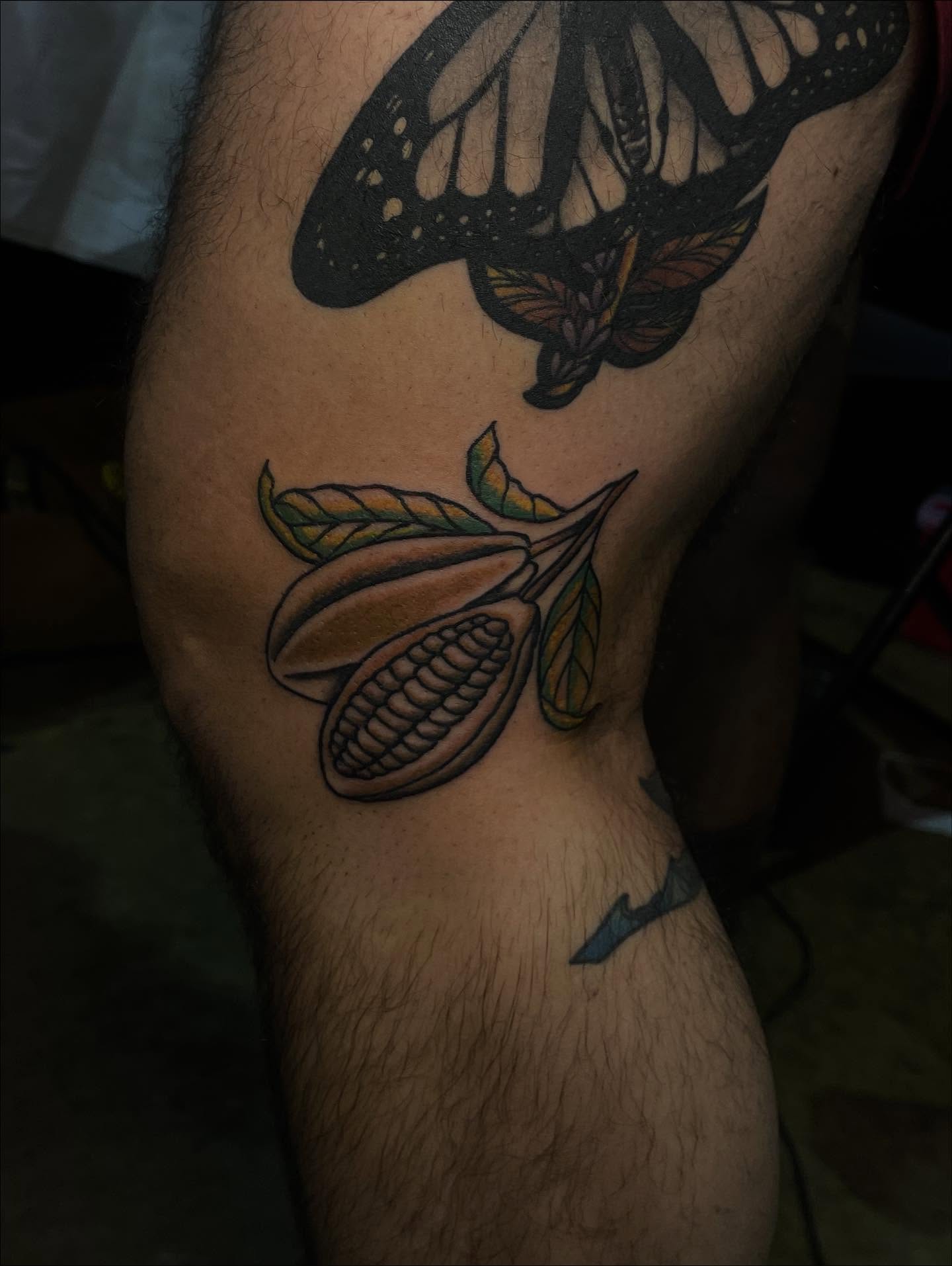 Cocoa pod and butterfly realism tattoo on the forearm by Tattoos Philly {by Twiggy} ✨