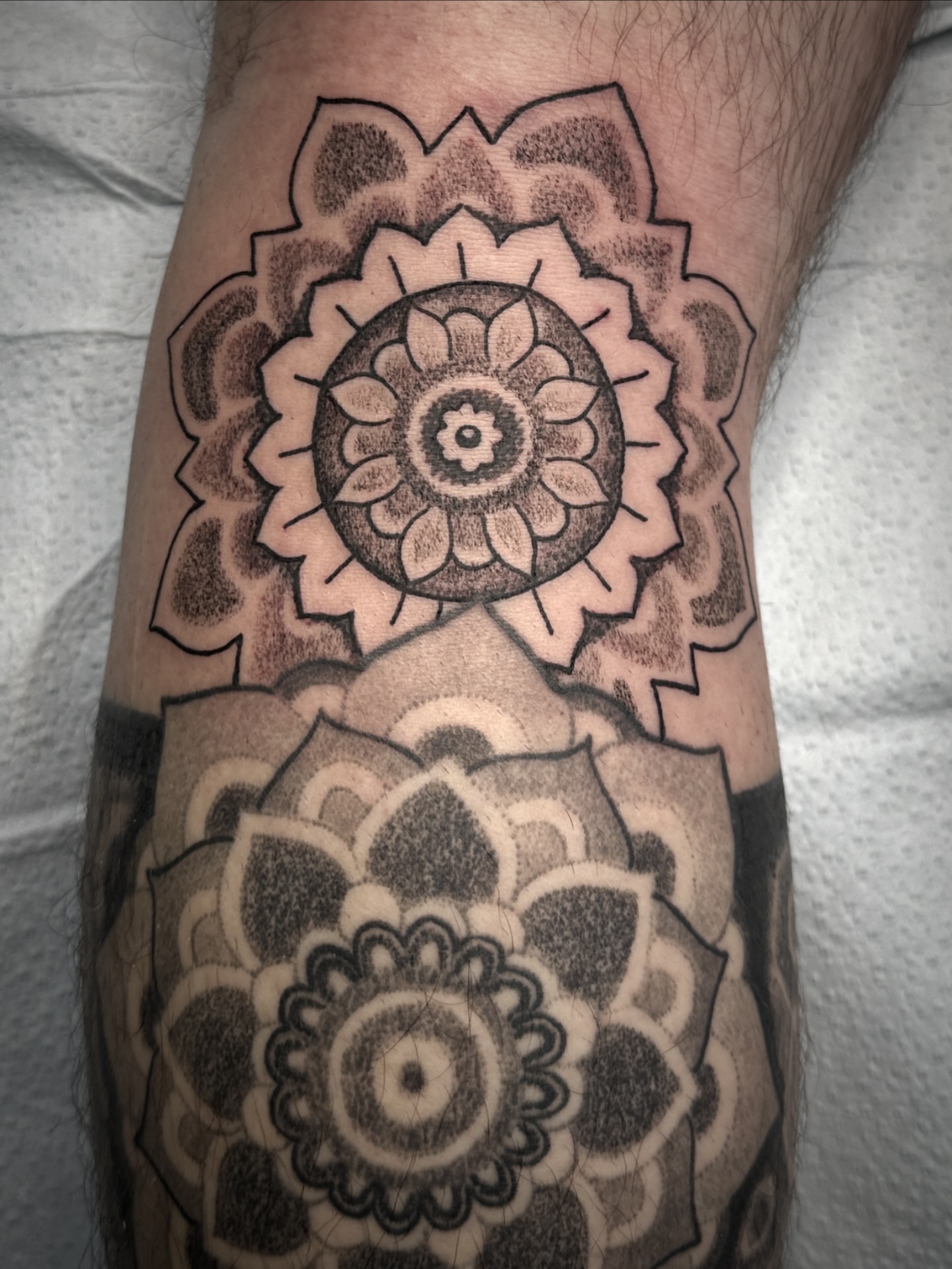 Mandala dotwork tattoo on the forearm by Chris Blanchard