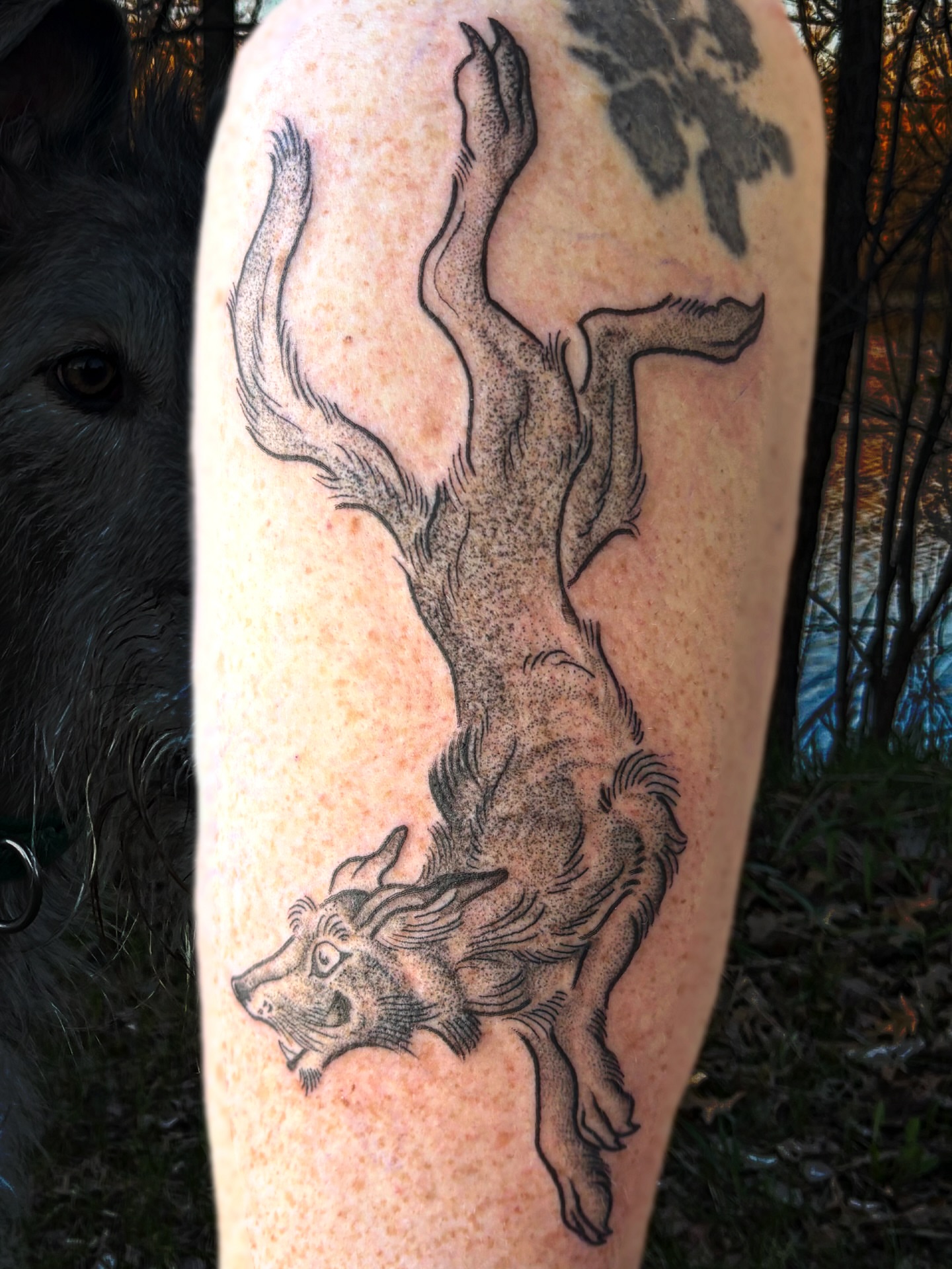 Tattoo by @birchbeast — black_and_grey