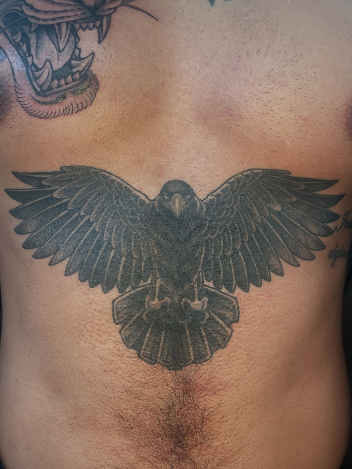 Tattoo by @collie_tattoos — black_and_grey