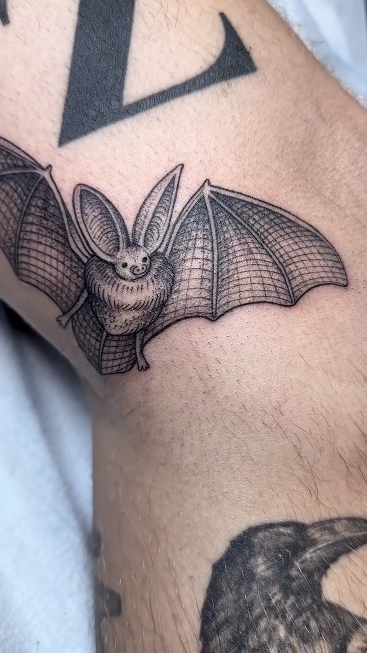 Bat realism tattoo by Robert McCollum