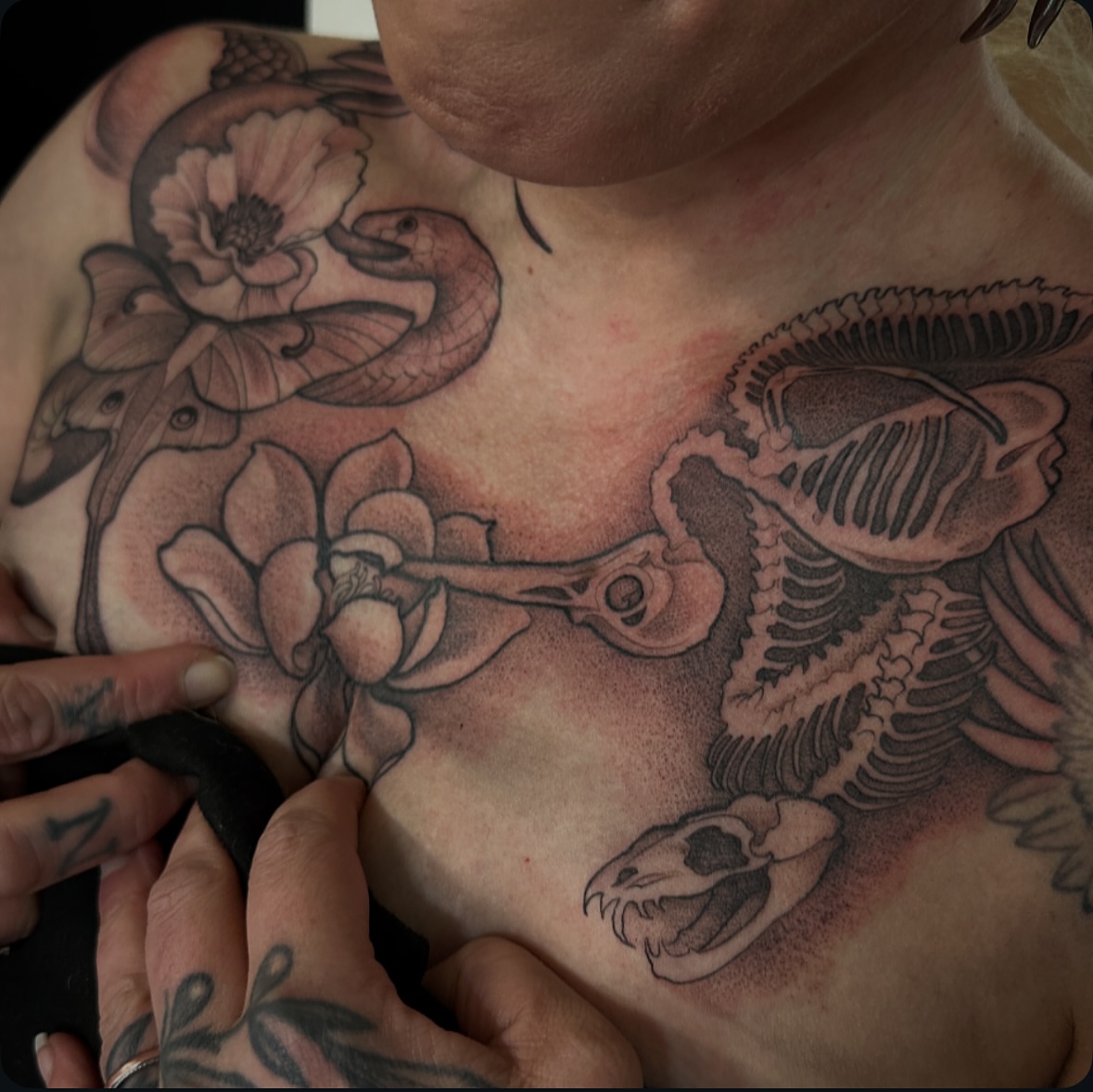 Tattoo by @johntarrao — black_and_grey, realism