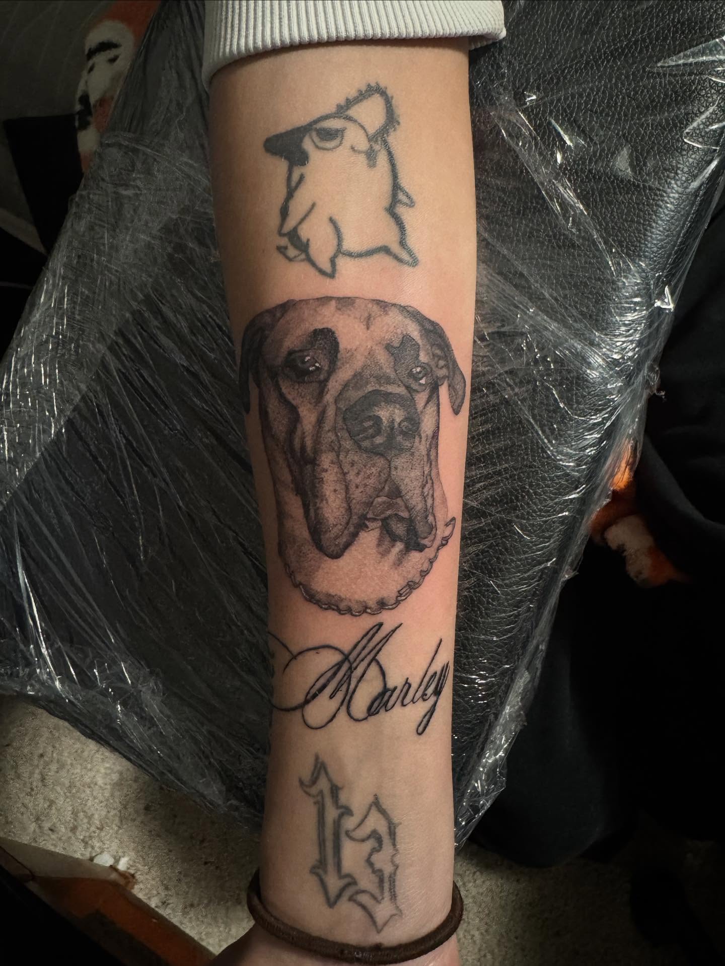 Tattoo by @tattedbytam — realism