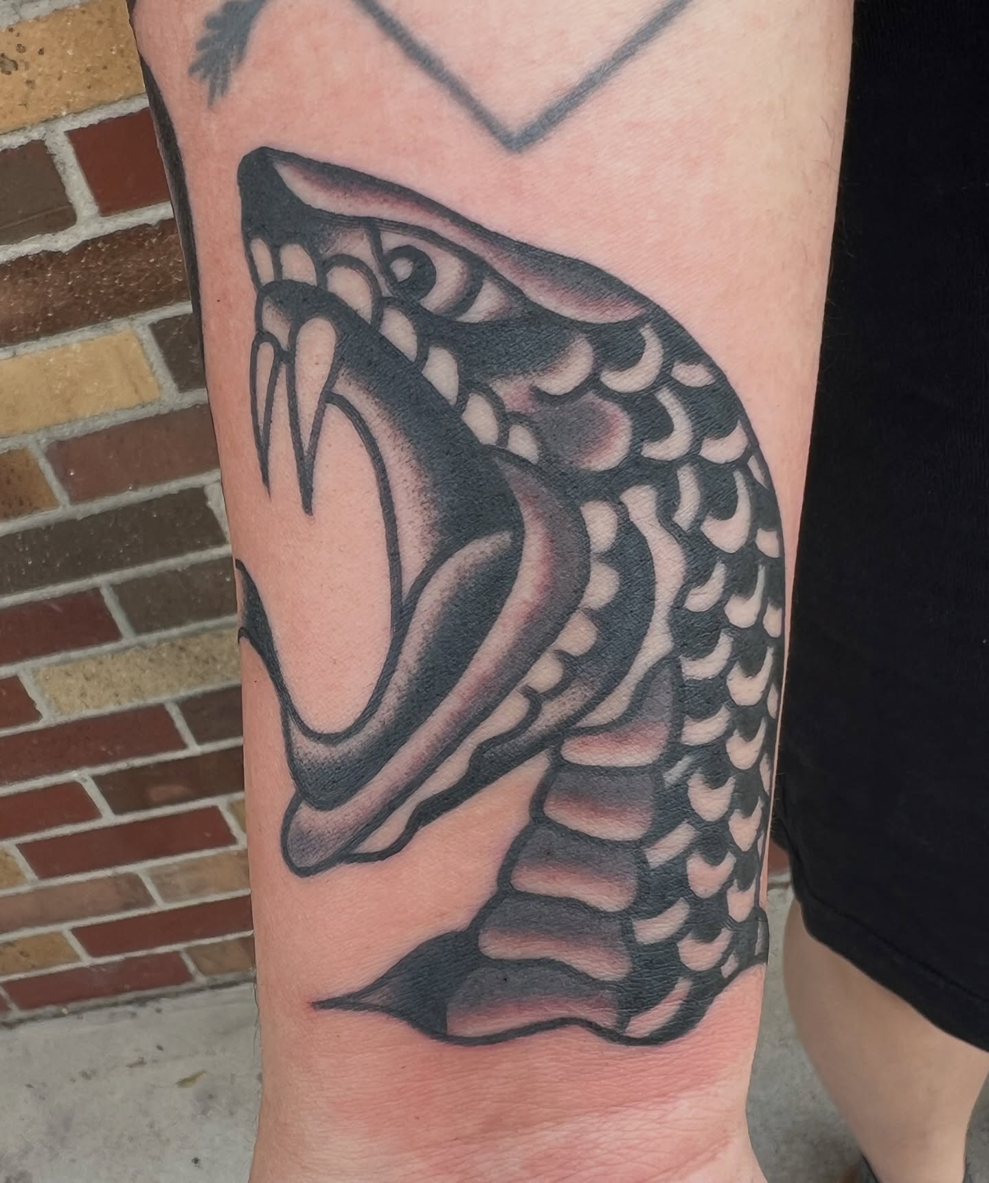 Snake black and grey tattoo on the forearm by Nick Judkins Tattoo