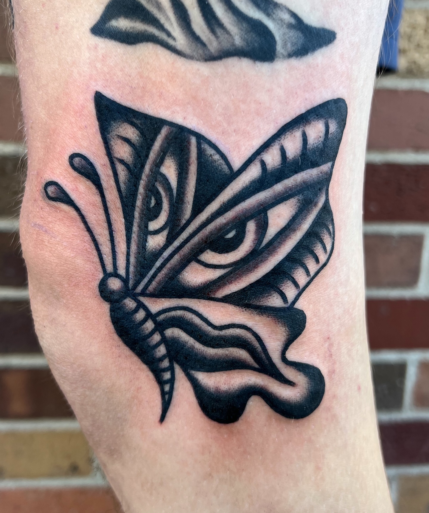 Butterfly American traditional tattoo on the forearm by Nick Judkins Tattoo