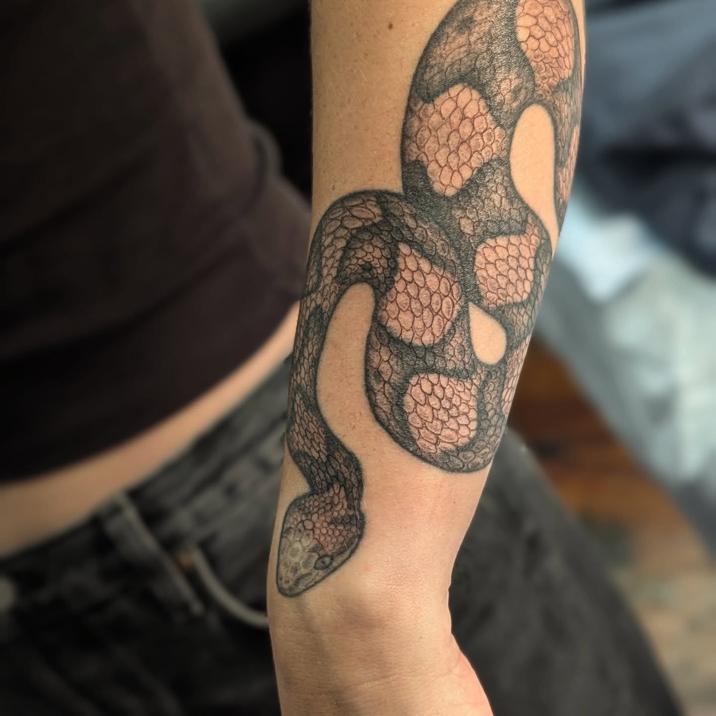 Snake dotwork tattoo on the forearm by Eli Studer