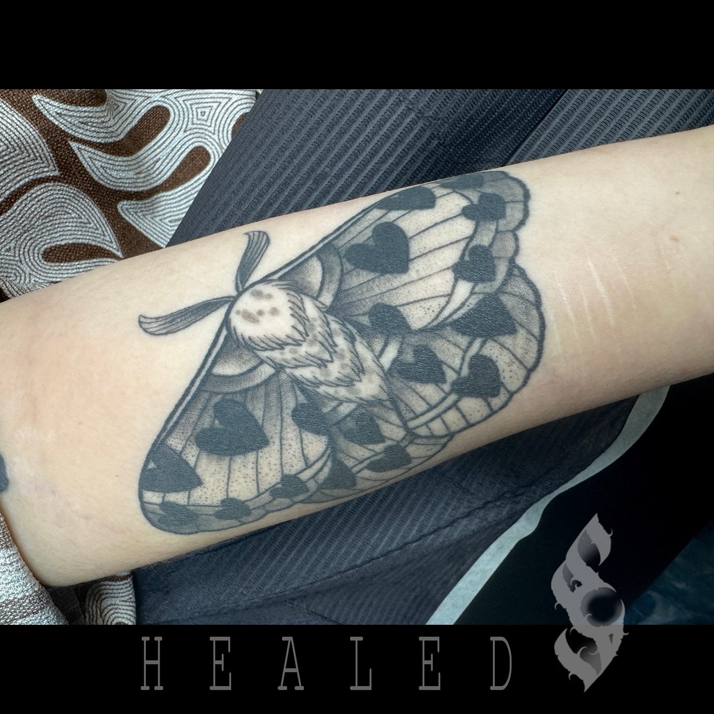 Moth black and grey tattoo on the forearm by Amanda Stampfly