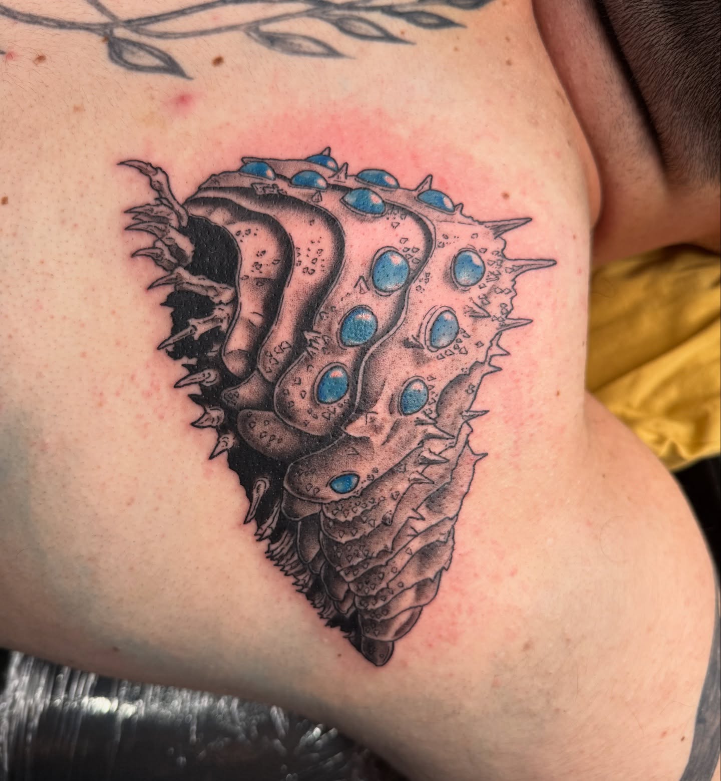 Pufferfish realism tattoo on the shoulder by Chloe Peters 🦭🦄🏳️‍🌈