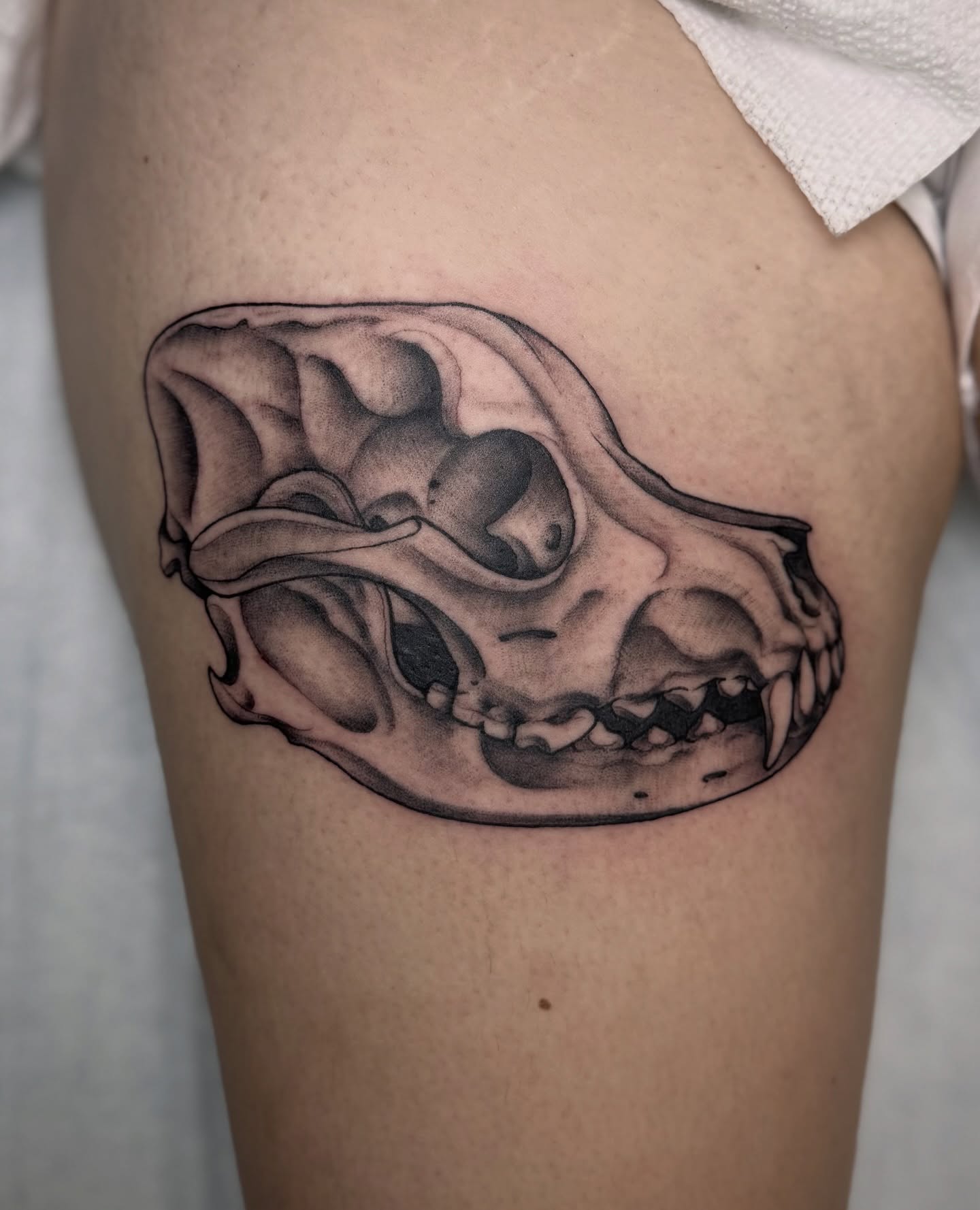 Tattoo by @tattoosbybella — black_and_grey