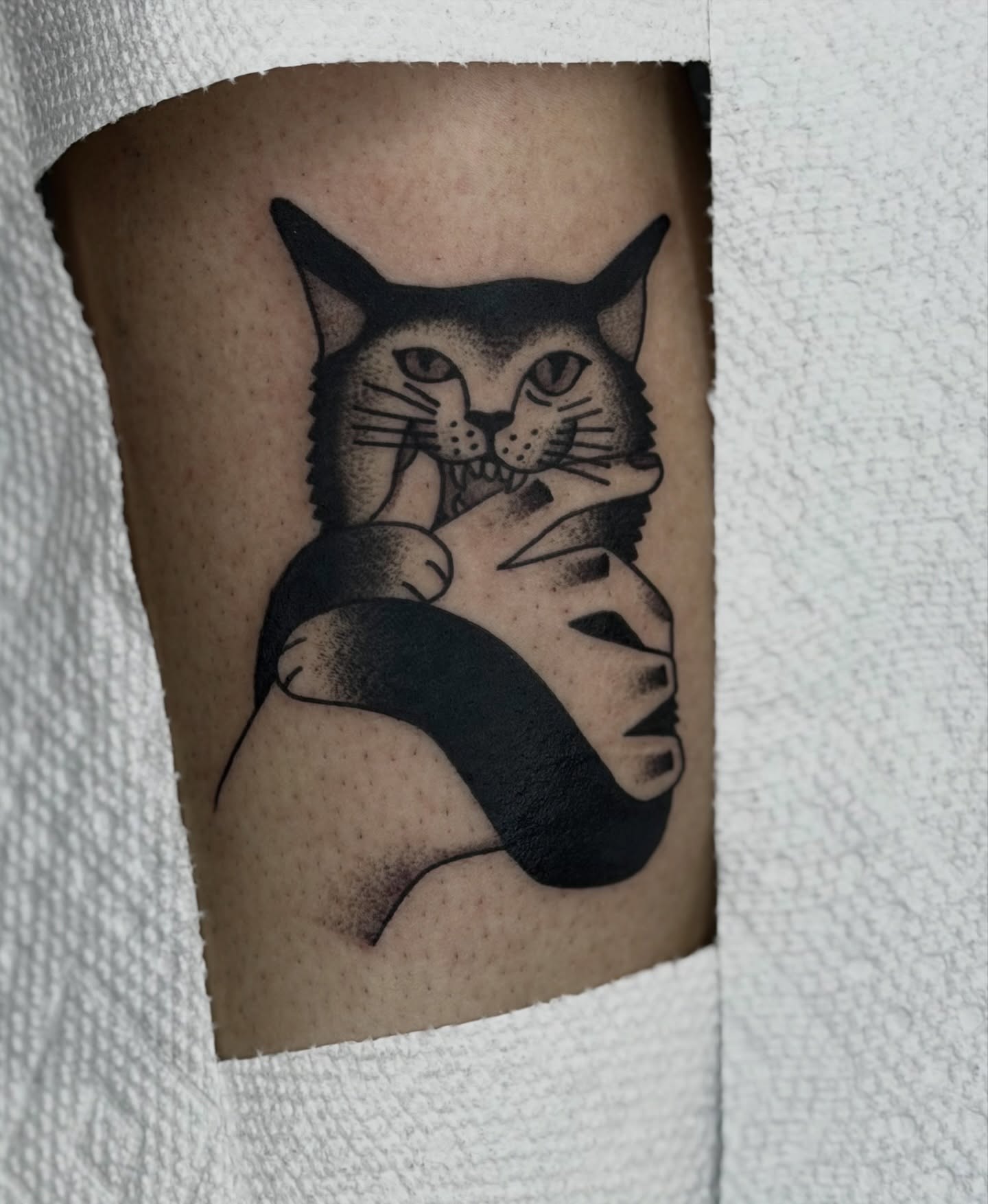 Cat dotwork tattoo on the forearm by Maks
