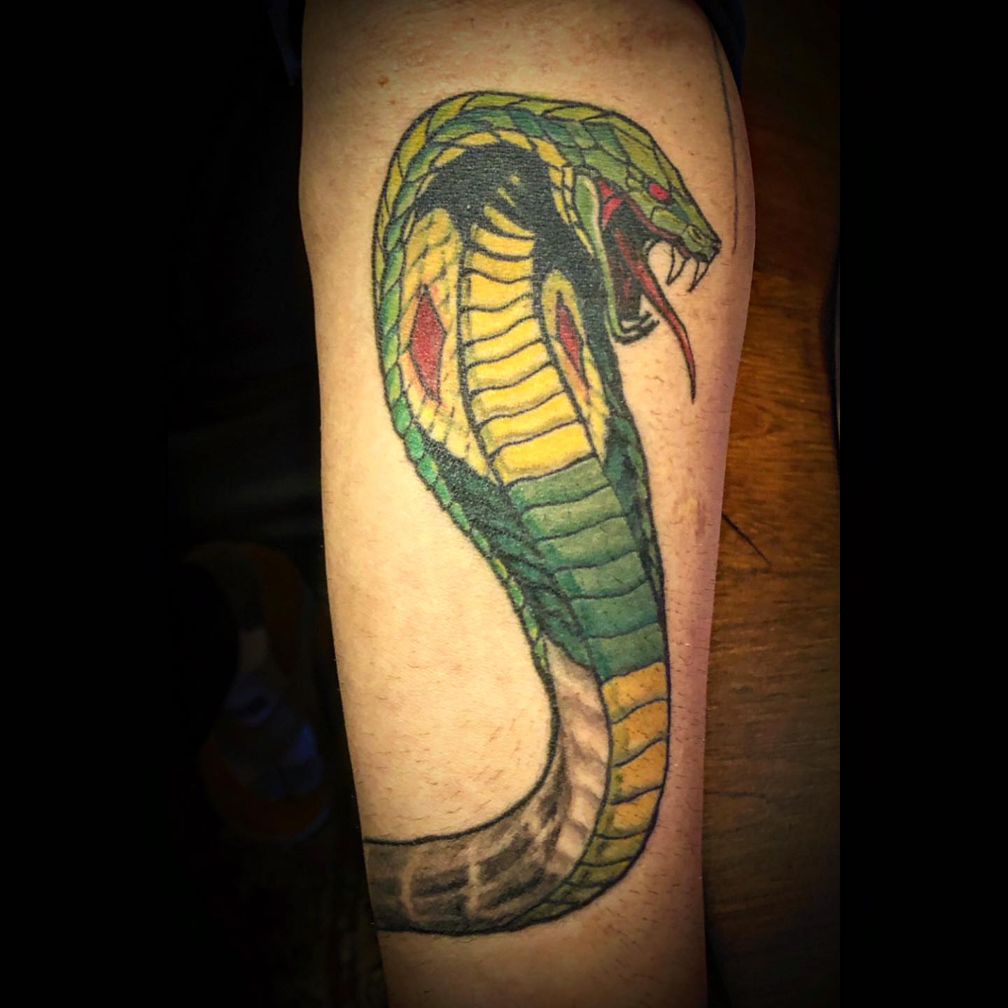 Snake American traditional tattoo on the forearm by Dharm, Denver, Colorado