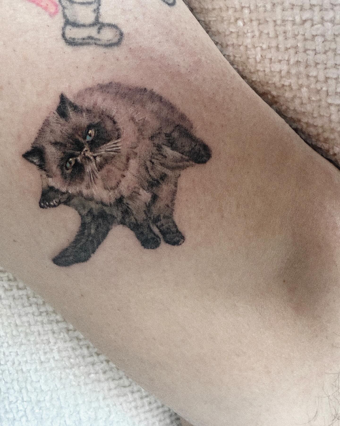 Tattoo by @dw_tattooer — realism