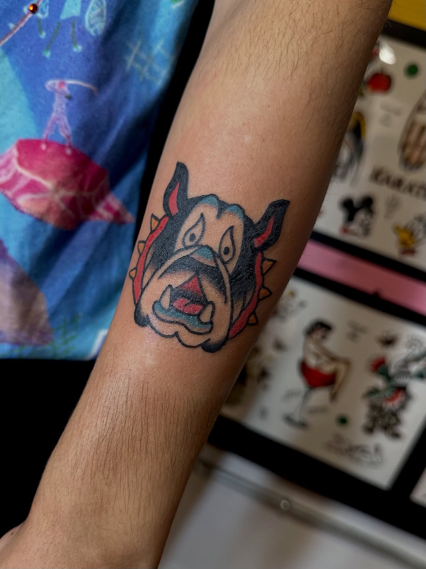 Bulldog American traditional tattoo on the forearm by Steven