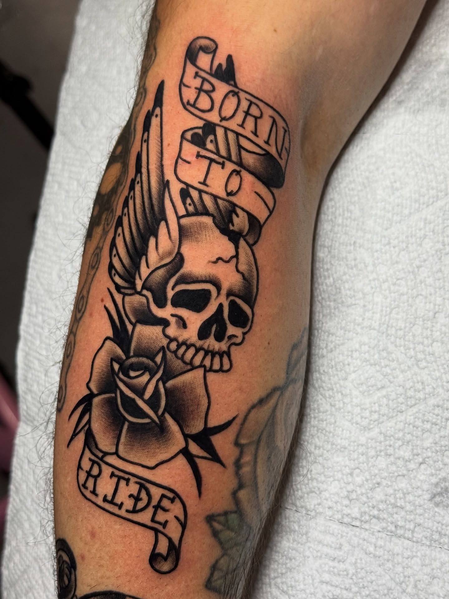 Skull with wings American traditional tattoo on the forearm by Ash Nicola, Asheville, North Carolina
