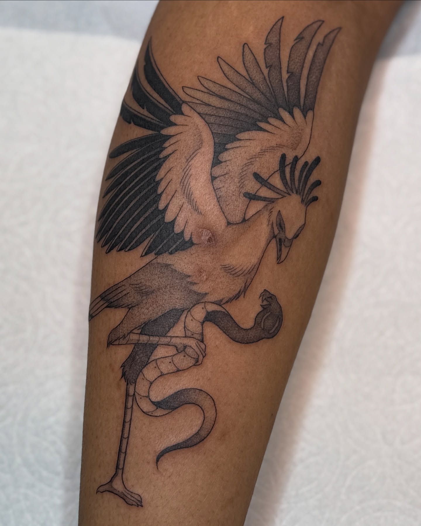 Phoenix black and grey tattoo on the forearm by Connor🍄🏳️‍⚧️