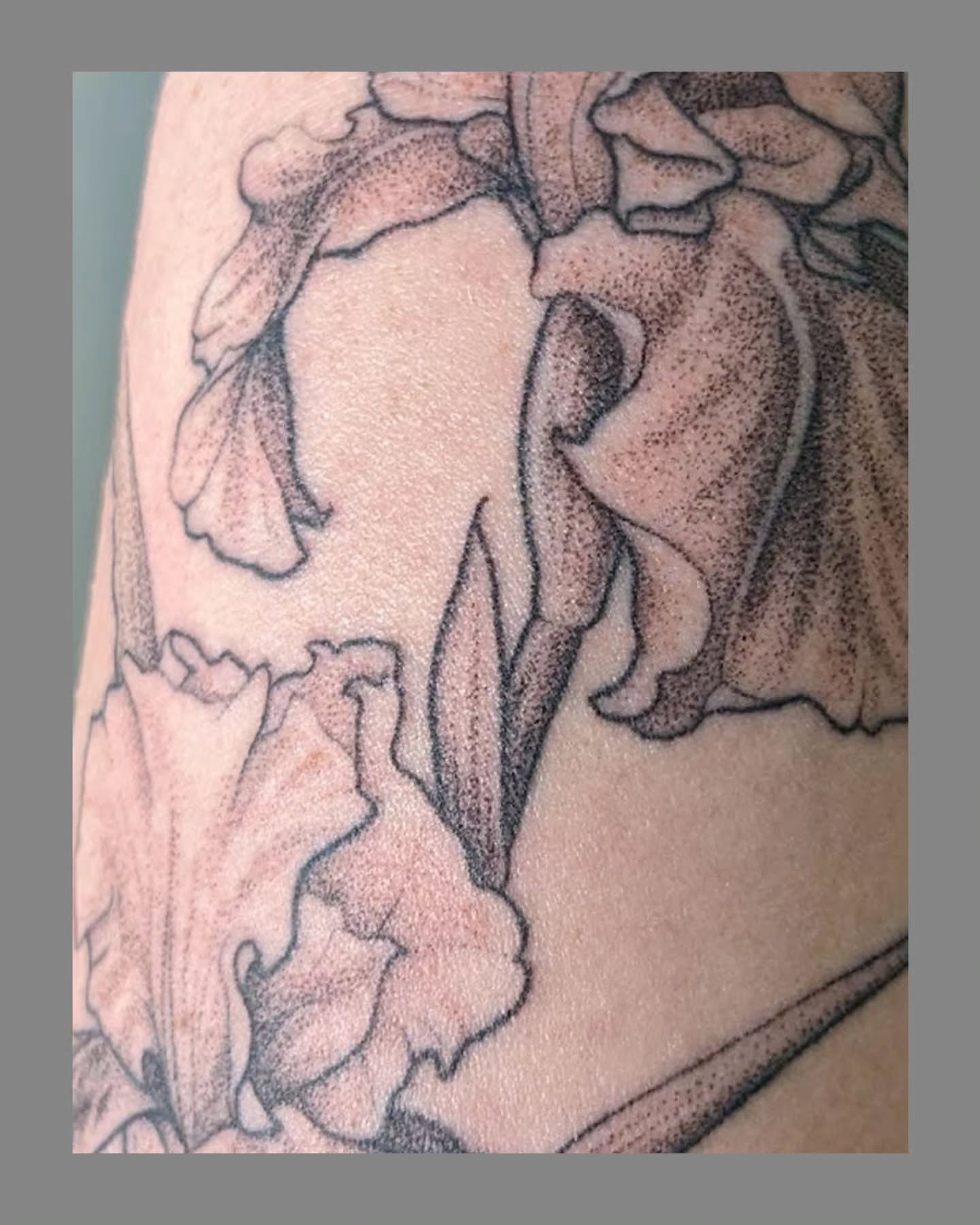 Iris dotwork tattoo on the forearm by Marria