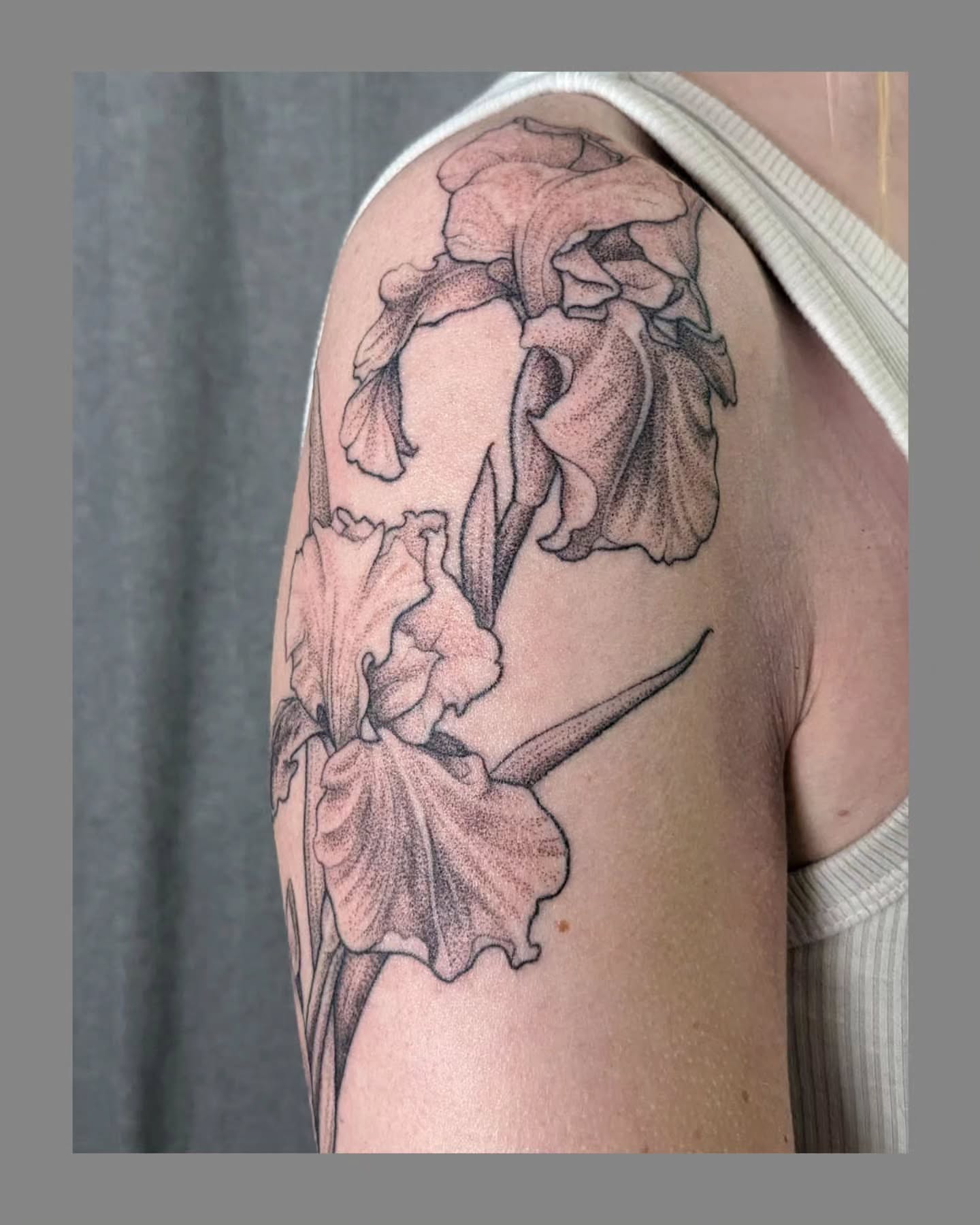 Iris flowers dotwork tattoo on the shoulder by Marria