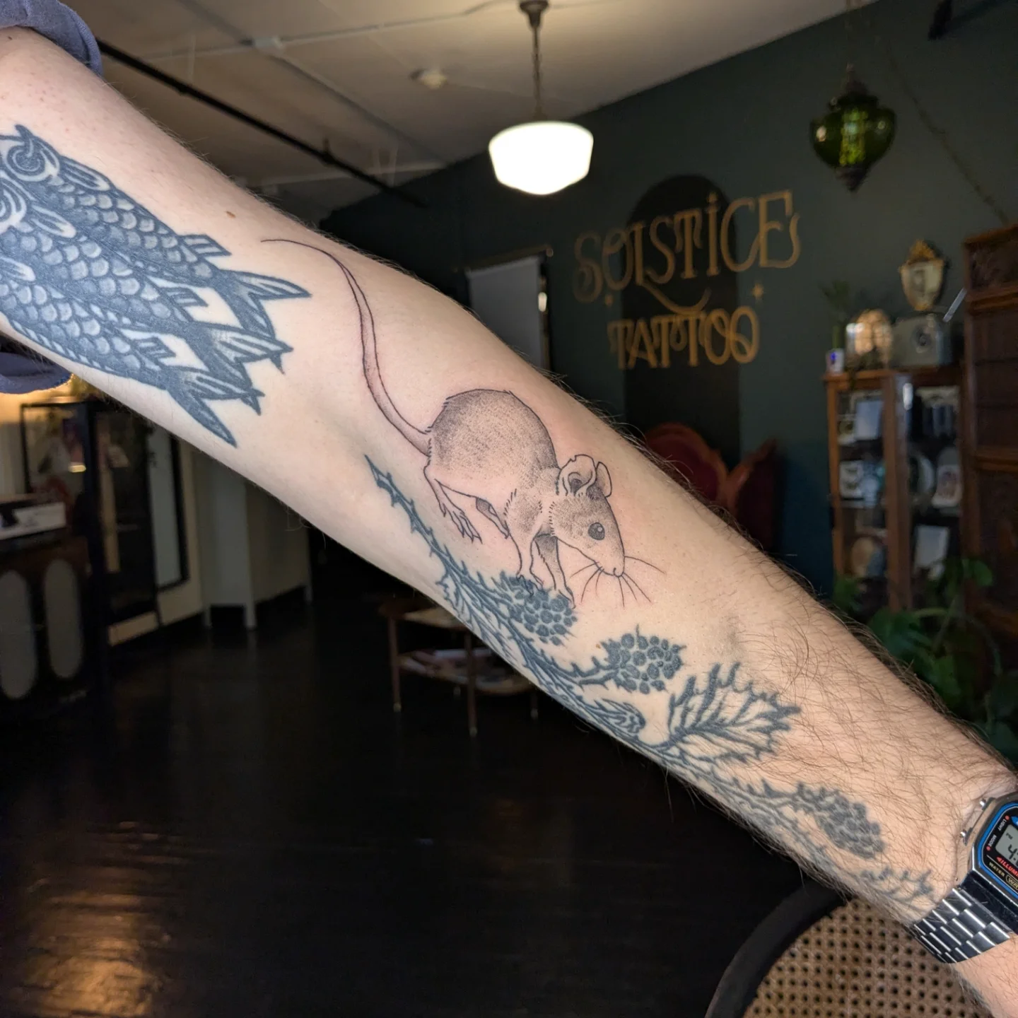 Mouse and thistle black and grey tattoo on the forearm by Madison Cañedo ✺ Portland tattoo