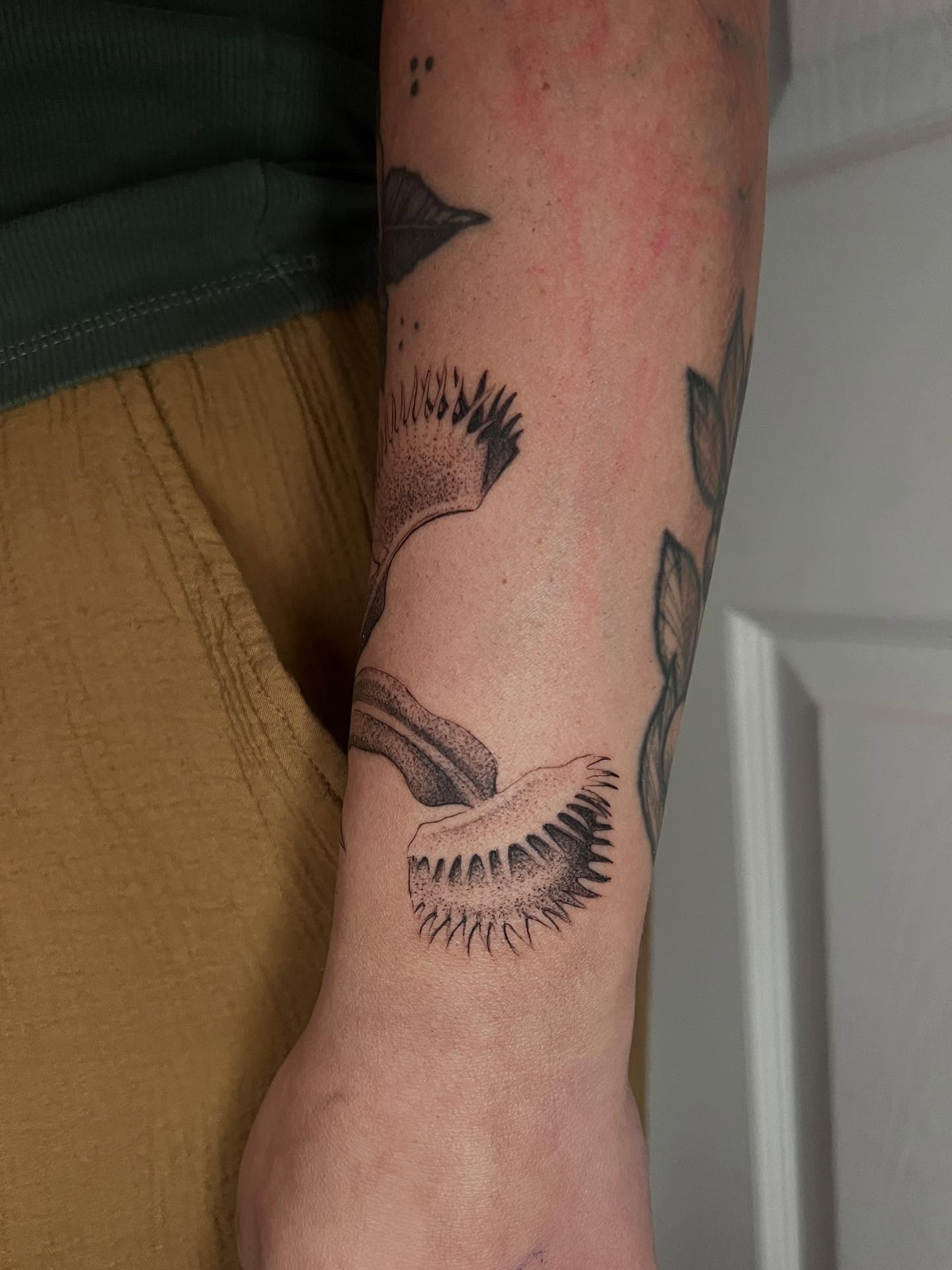 Venus flytrap dotwork tattoo on the forearm by Natasha