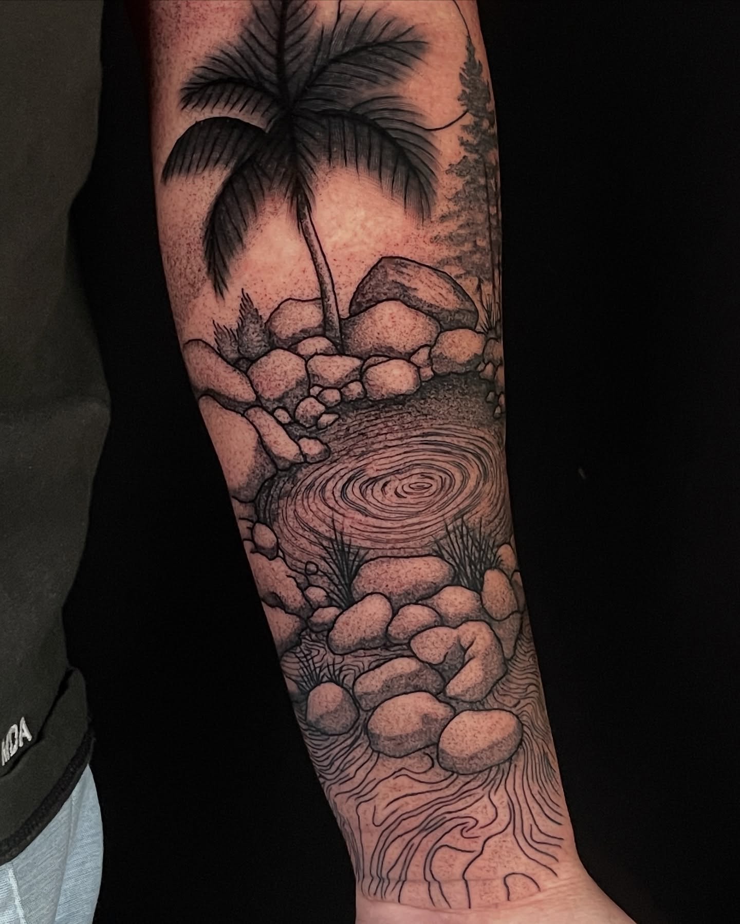 Palm tree and rocks realism tattoo on the forearm by Austin Clark