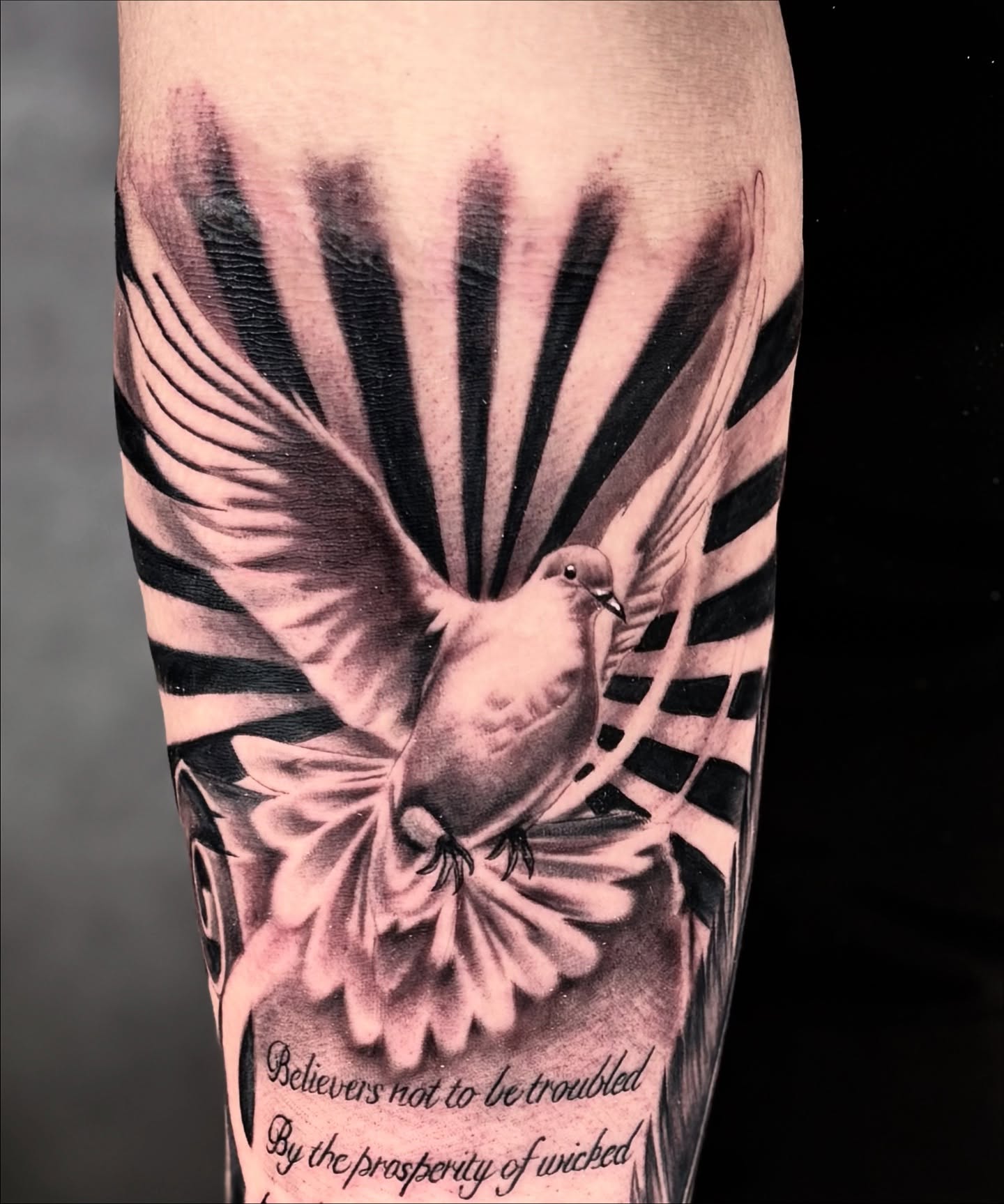 Dove realism tattoo on the forearm by Dave