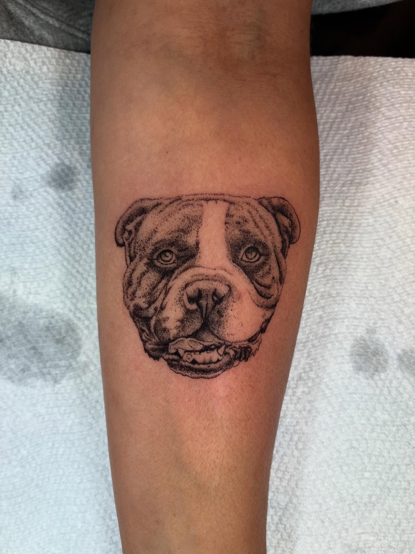 Bulldog dotwork tattoo on the forearm by ๐๐ช๐๐ซ๐ก๐ ๐๐ฏ๐ถ๐ฉ๐