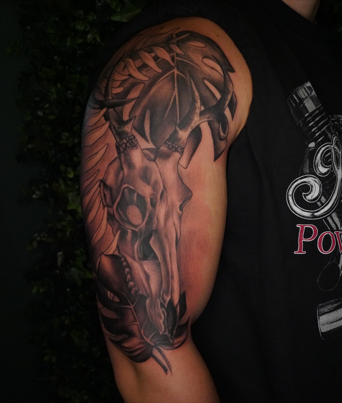Bull skull realism tattoo on the shoulder by Jaiden Ducoff