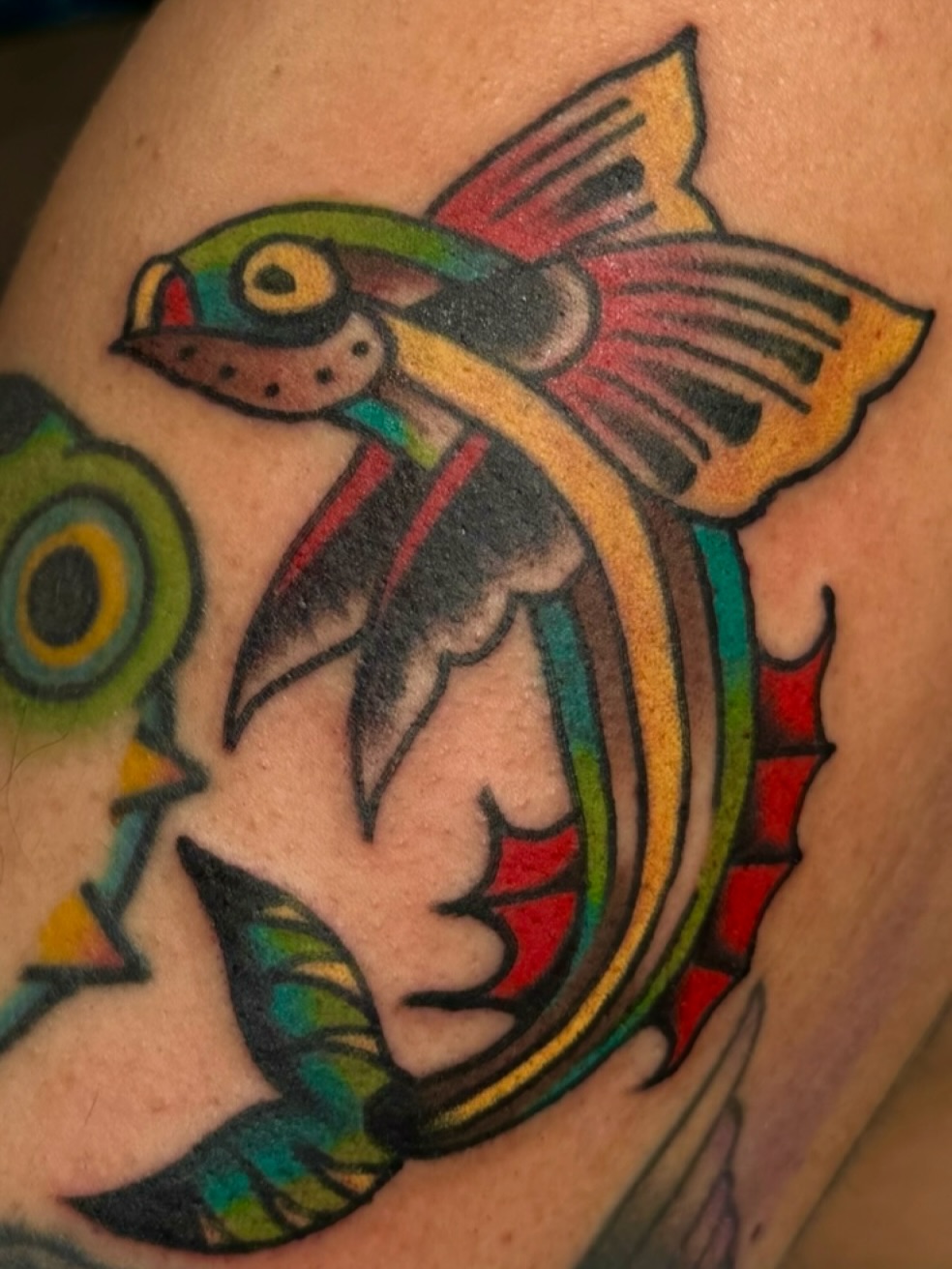 Fish American traditional tattoo on the shoulder by Zac Clark