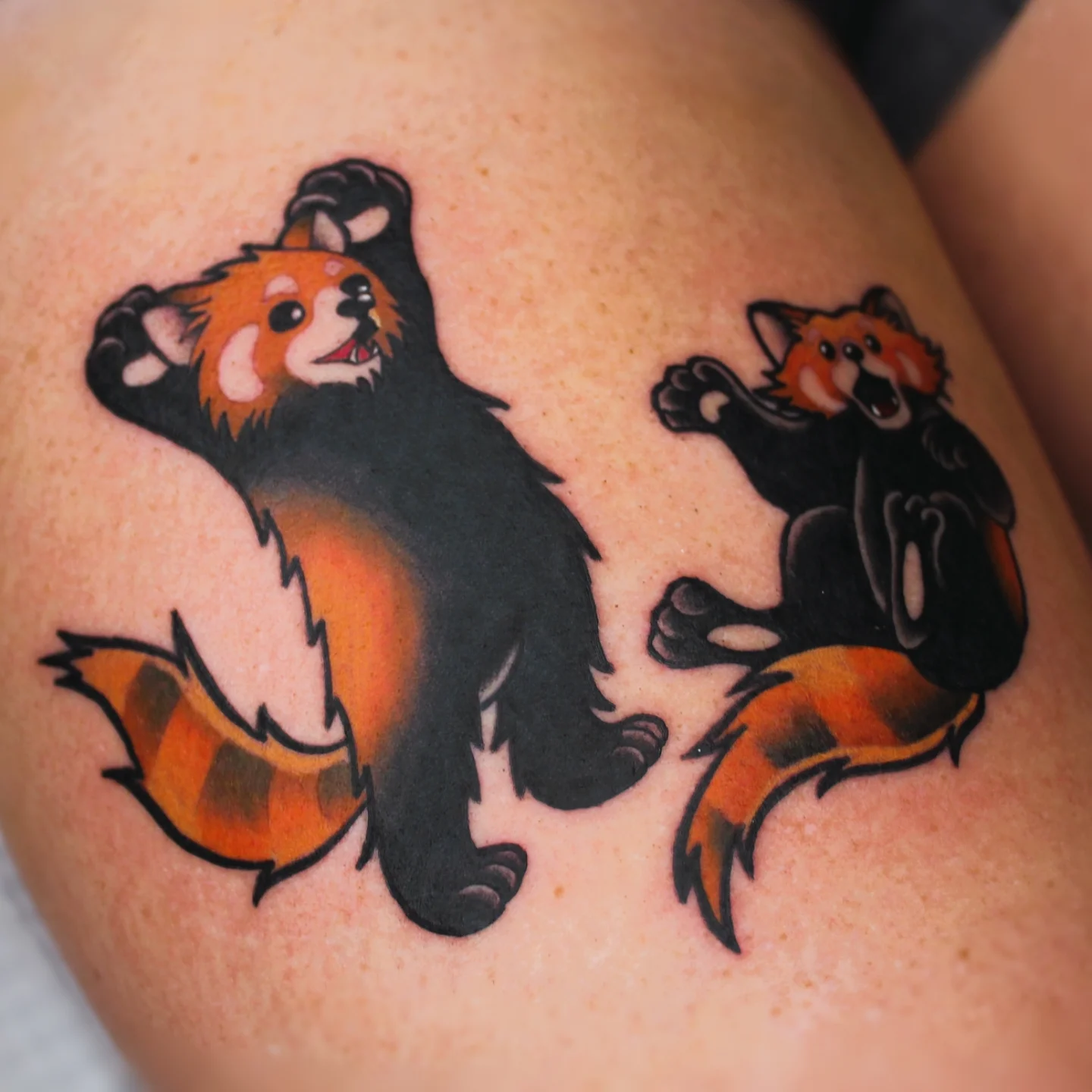Red pandas American traditional tattoo on the shoulder by ᴍɪʟᴀ ꜱᴀꜱɪᴇᴛᴀ