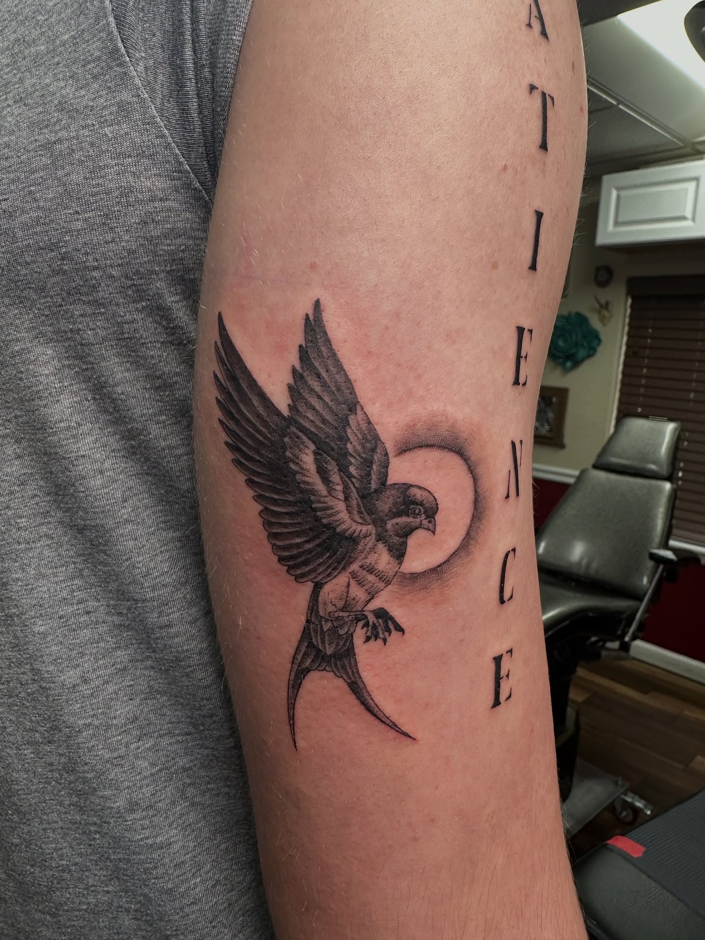Bird black and grey tattoo on the forearm by Bosco Layne