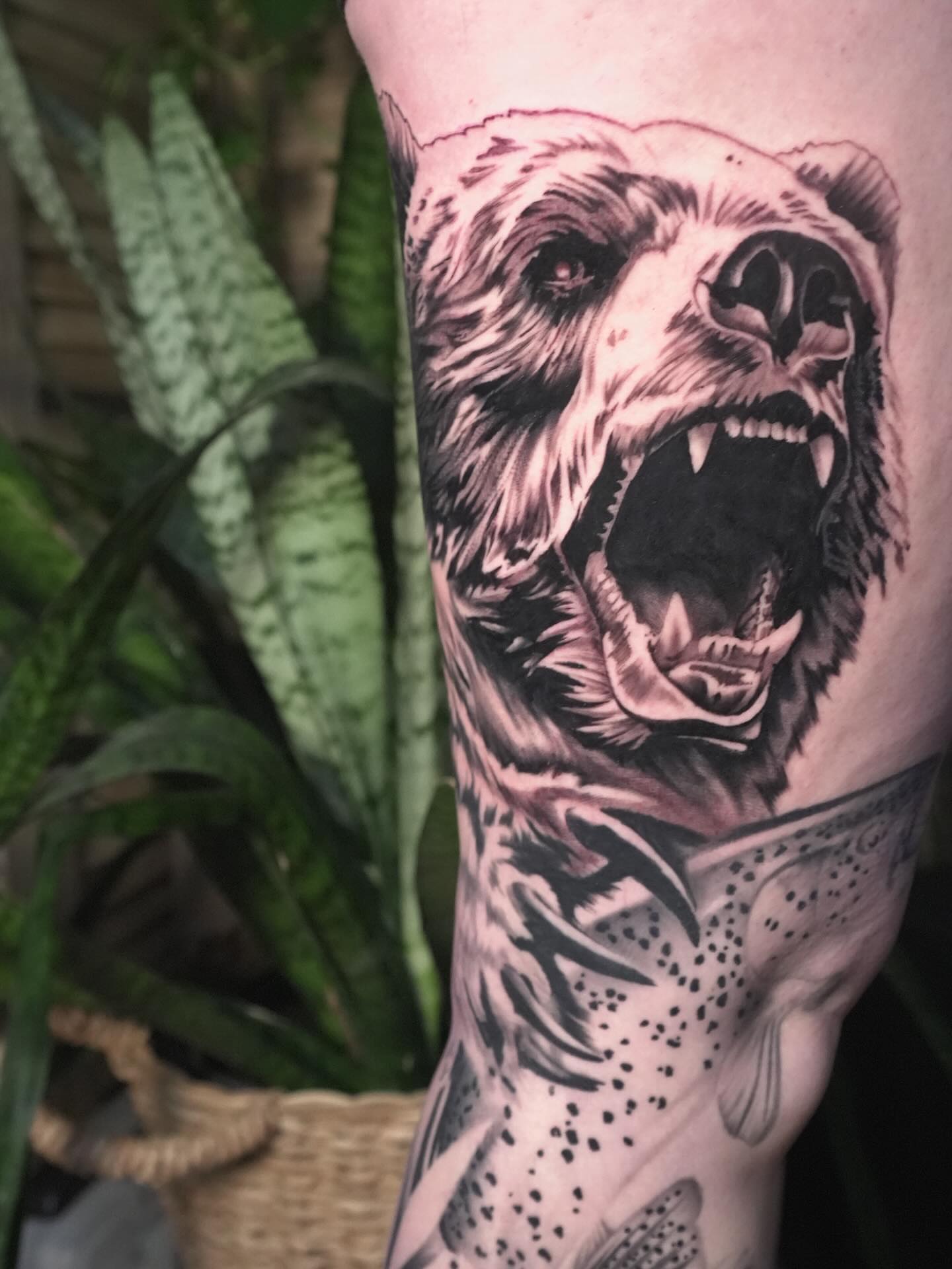 Roaring bear realism tattoo on the forearm by JoeyJazz