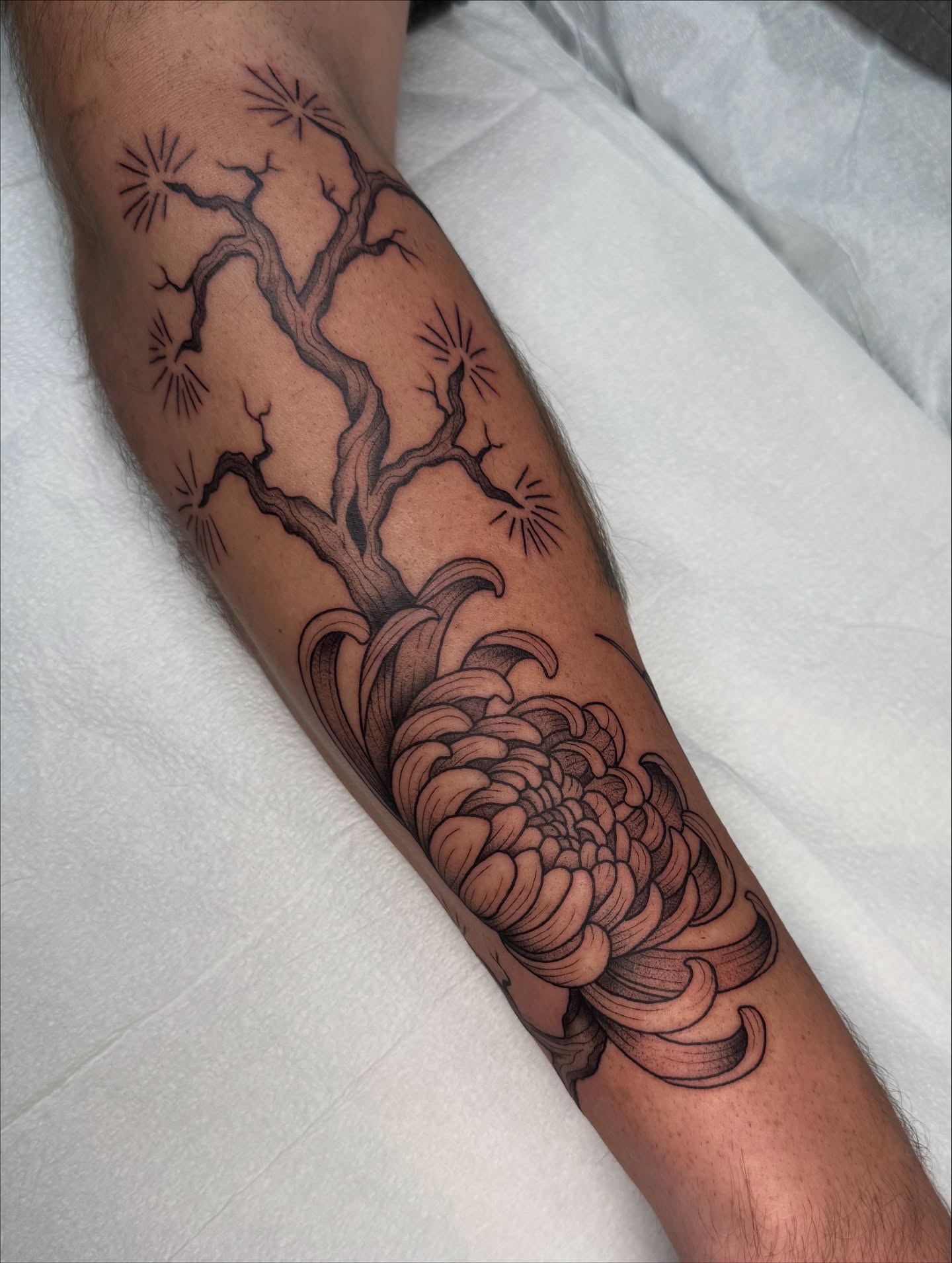Tree and chrysanthemum black and grey tattoo on the forearm by Truett Payton
